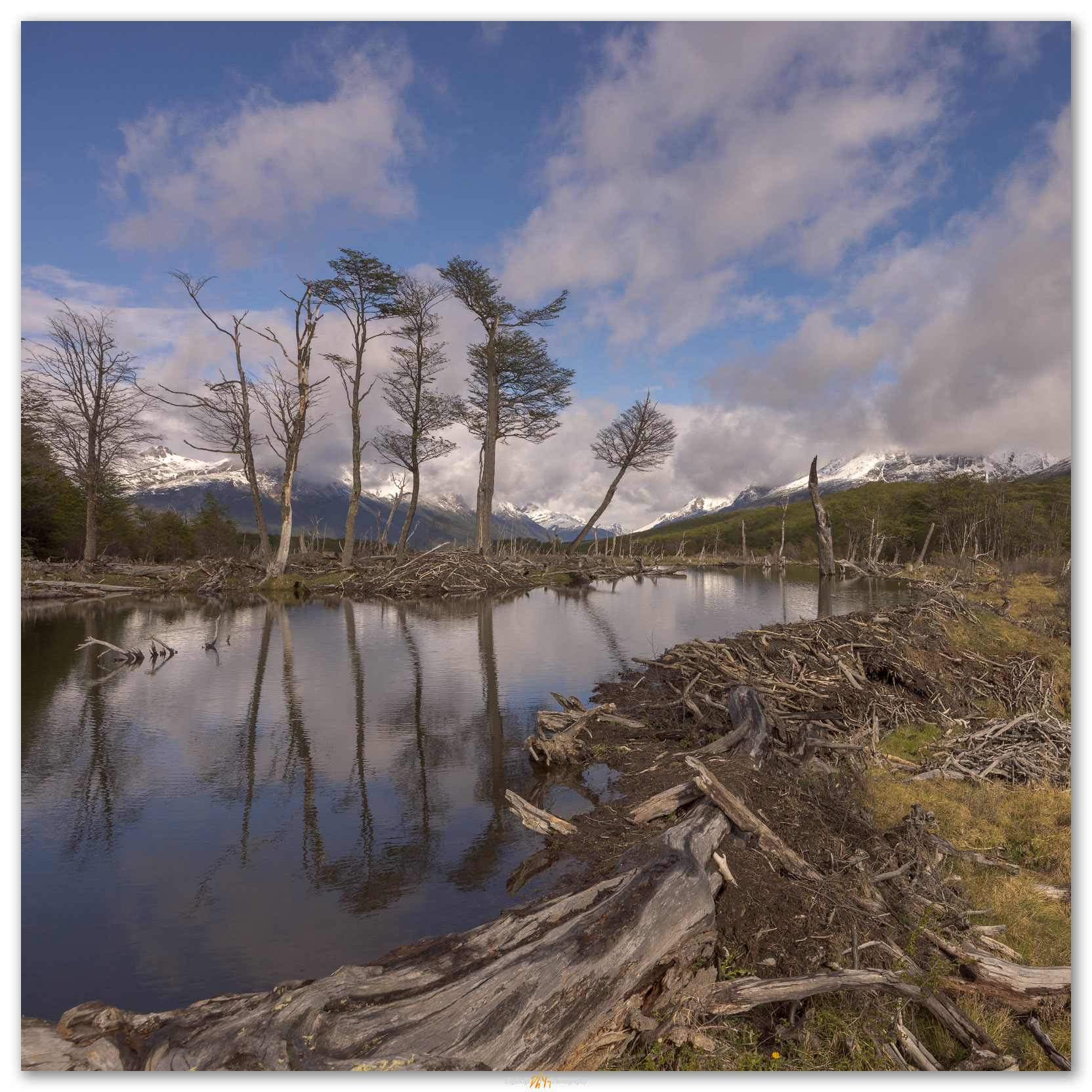 Inverted pond. Beaver dams alter the flow of Rio Olivia, Senda Esmeralda, Argentina.