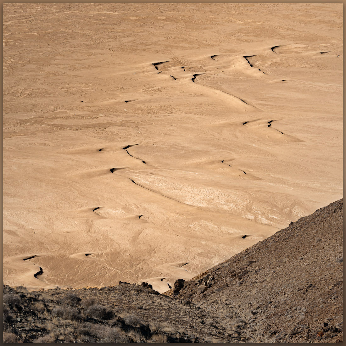 Wind runs. Barchan forms in Clayton Valley, Paymaster Ridge, Great Basin Desert, NV