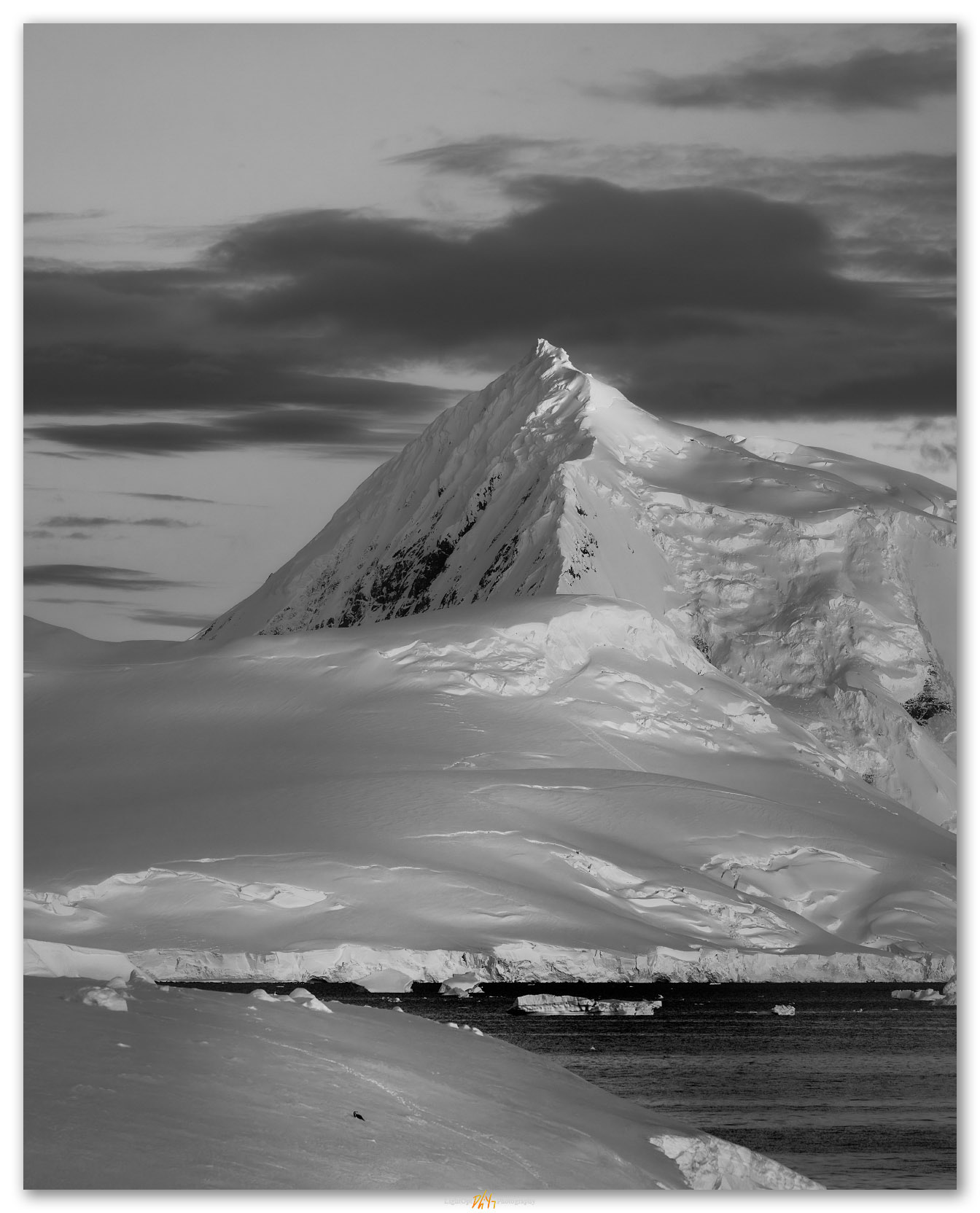 Space. A solitary penguin rests in the early morning, Antarctic Peninsula