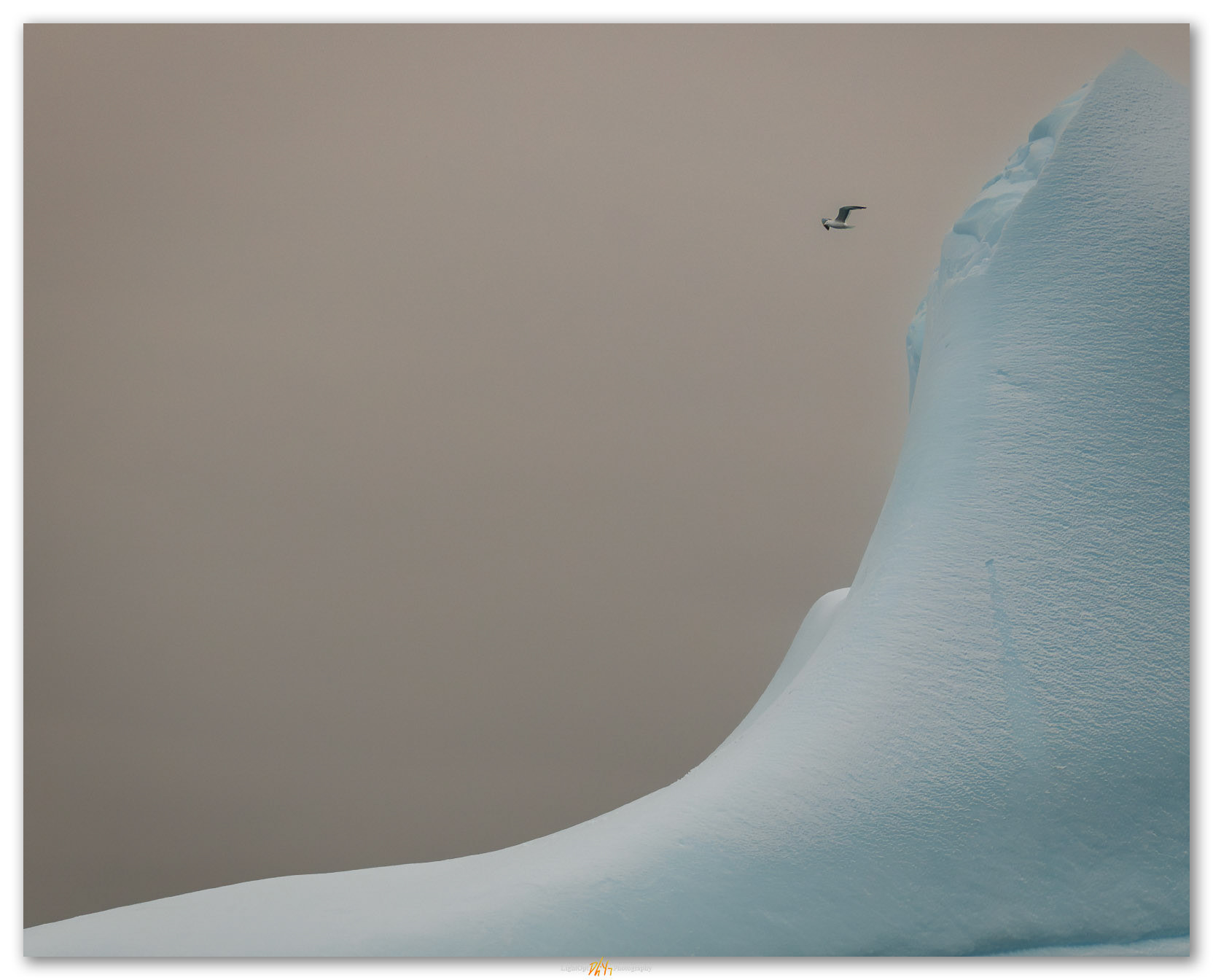 Soft flight. Among the icebergs of the Antarctica Peninsula.