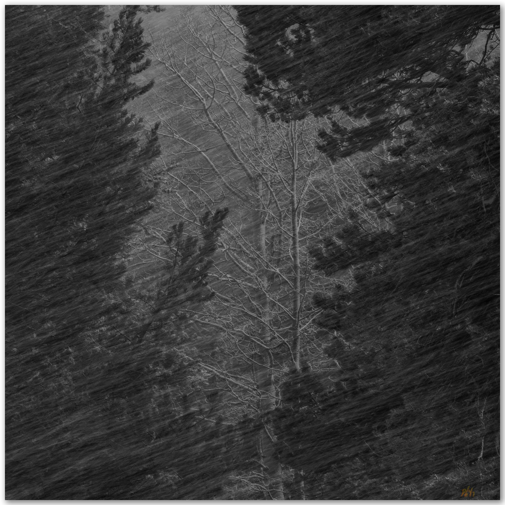 Keyhole. Winter storm at Grass Valley, Luther Pass, Carson Range, CA, USA