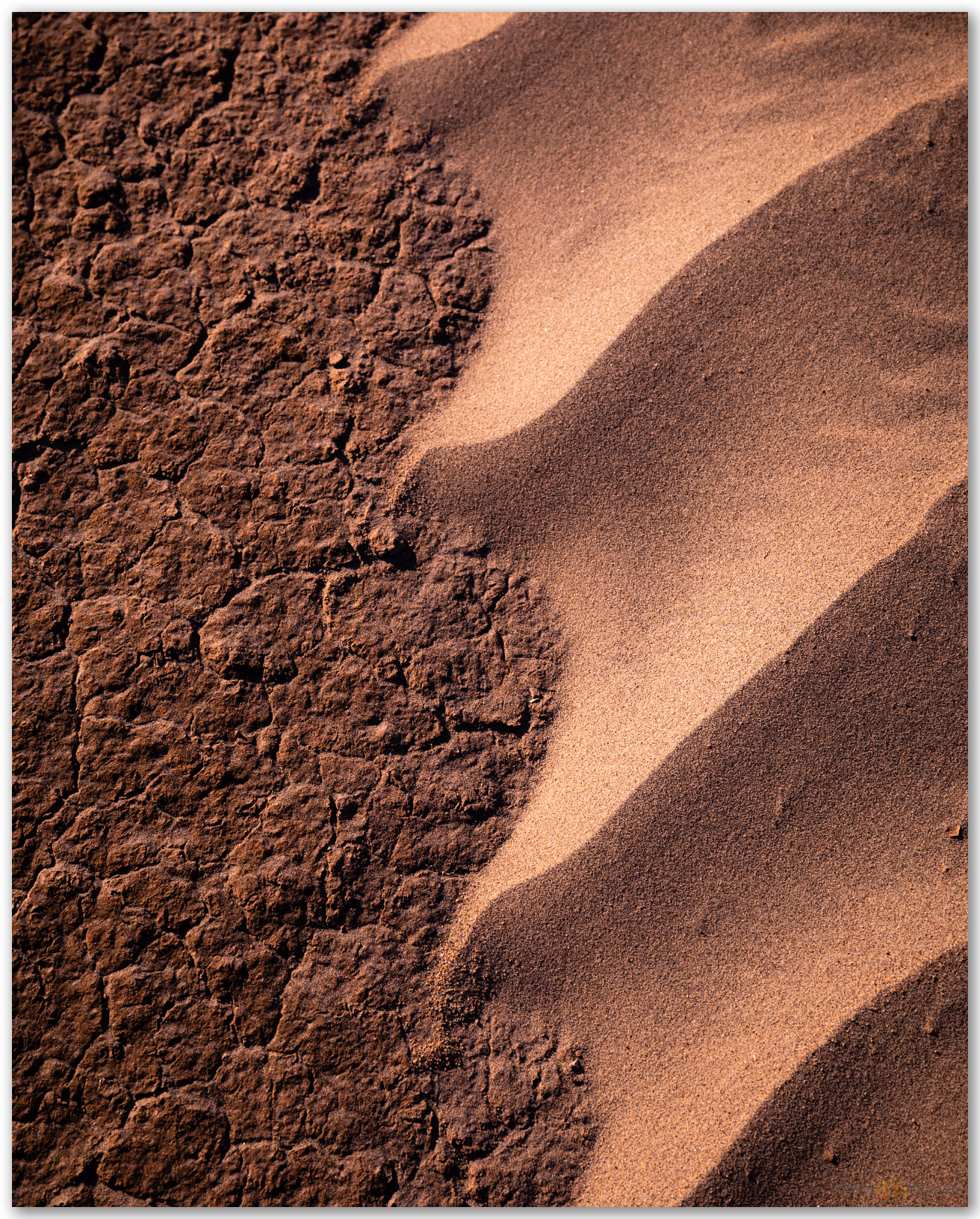 Revealed. Intimate scene of patterned ground, Mesquite Dunes, Death Valley, CA, USA