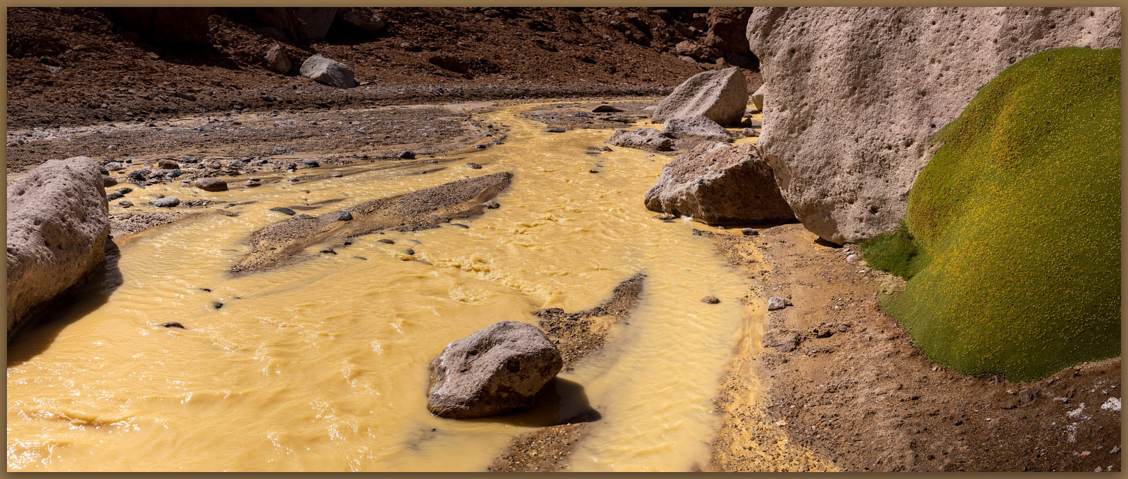 Green and yellow. Atacama Desert, Chile
