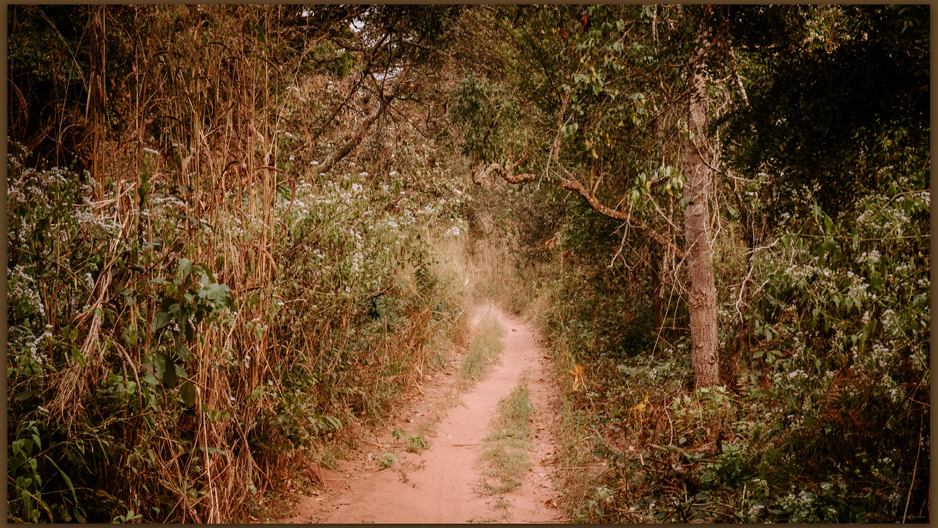 The traditional travel route to WOW shelter, Carnow Region, Central African Republic