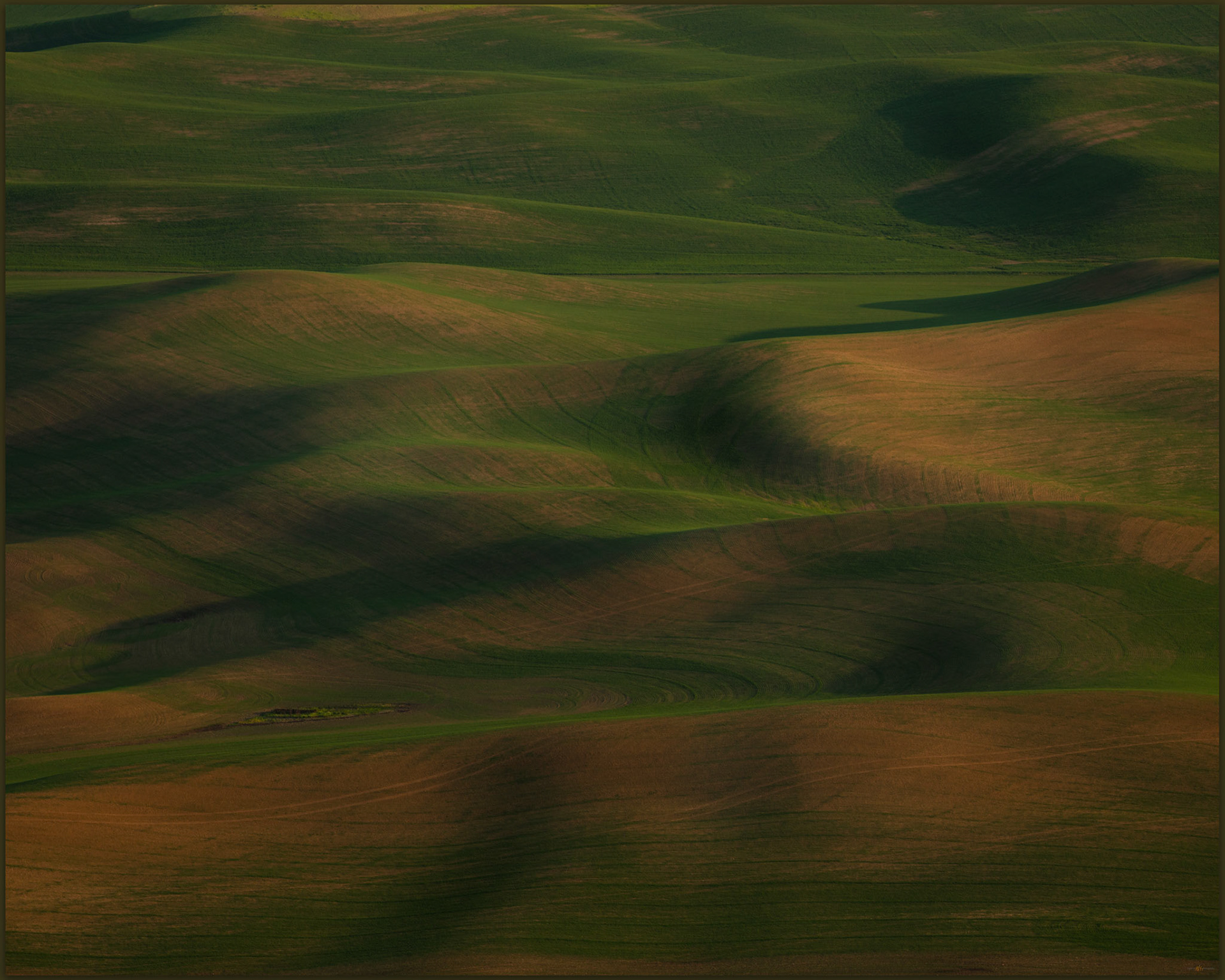 First patterns. Getting the intimate perspective from Steptoe Butte, Palouse, WA, USA