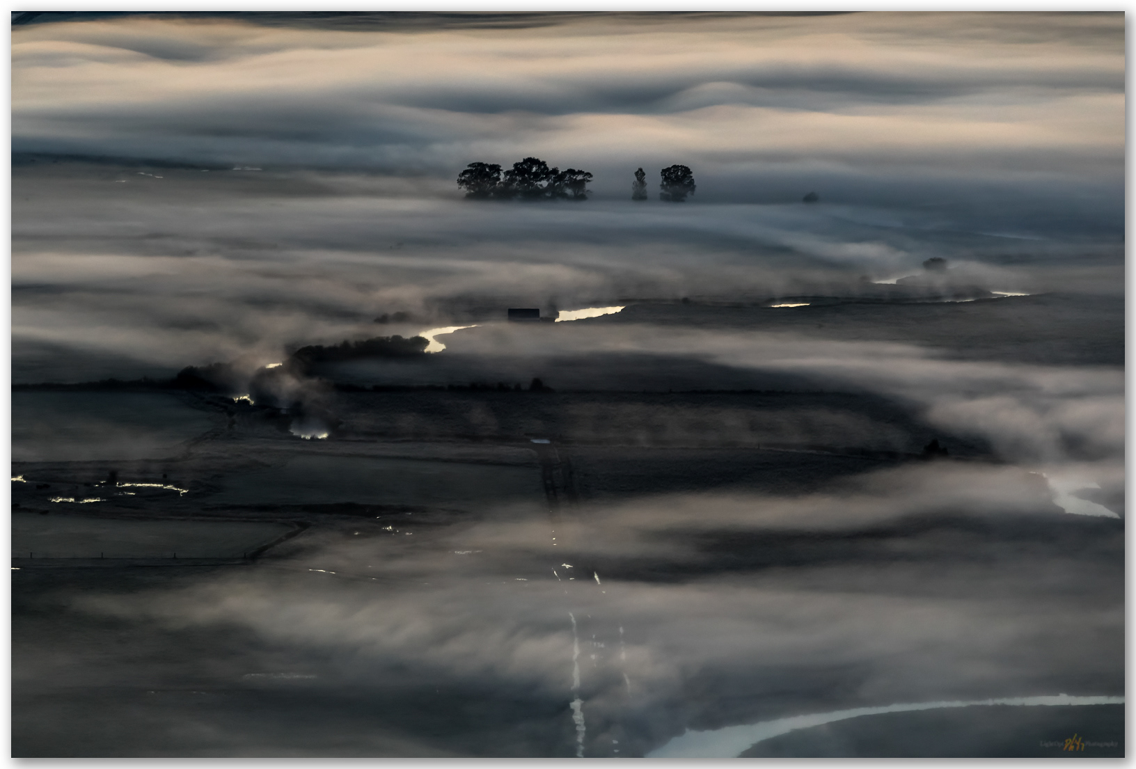 Ground cover. Morning fog along the Carson River, Carson Valley, NV, USA