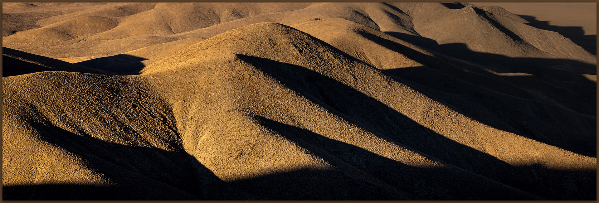 Foothills. Bluewing Mountains, Great Basin Desert, NV