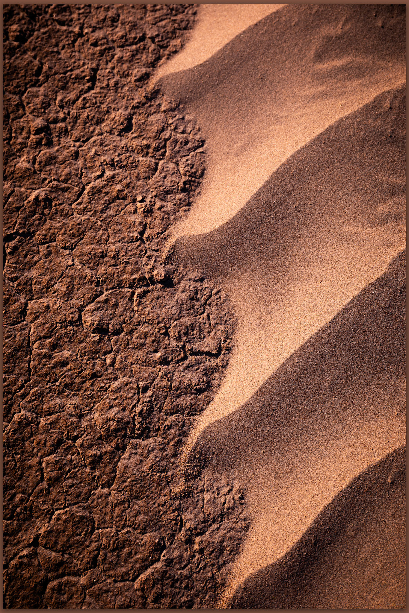 Revealed. The intimacy of patterned ground, Mesquite Dunes, Death Valley National Park, CA, USA