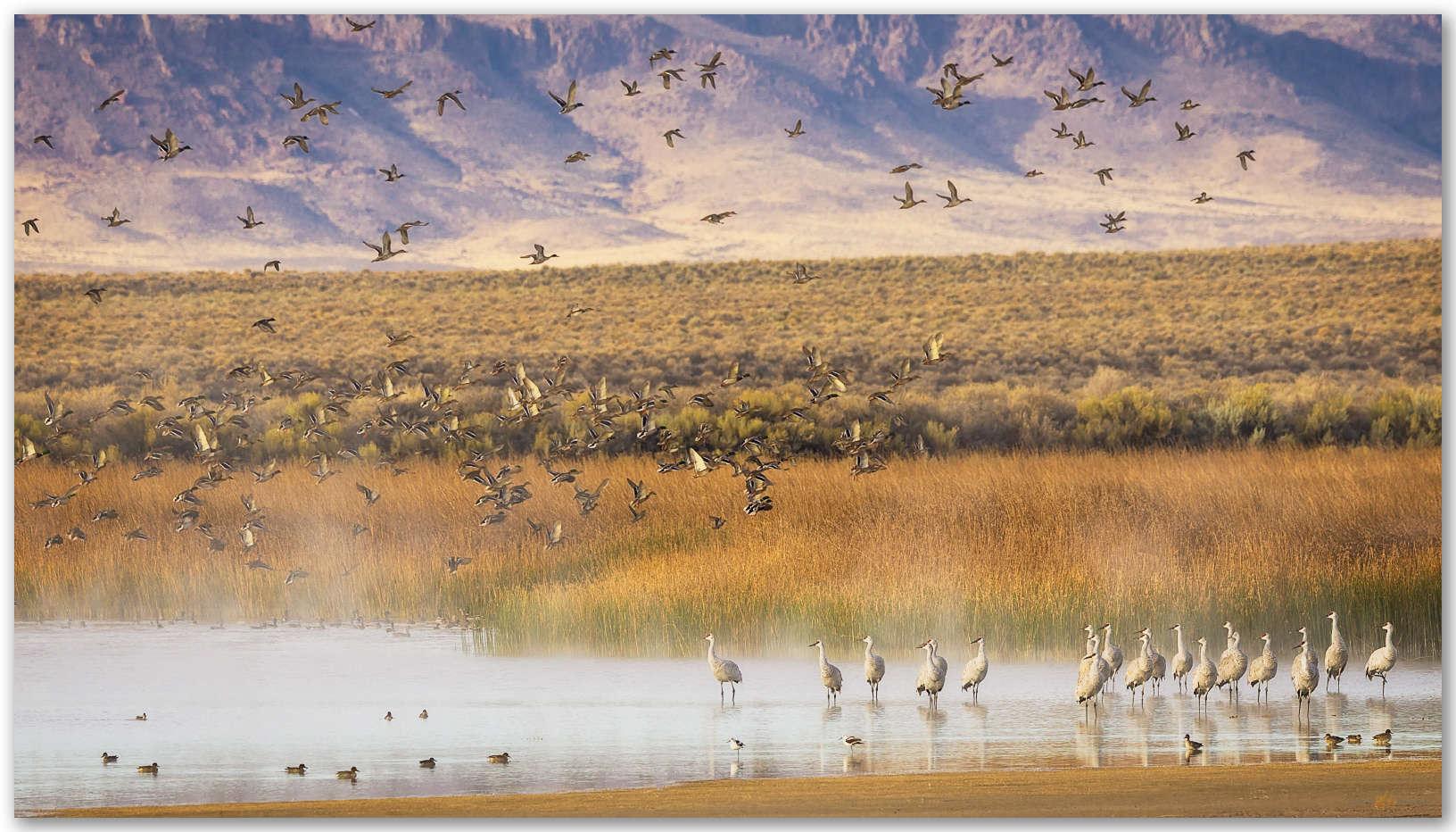 Sanctuary. Bog Hot Valley, Great Basin Desert, NV, USA