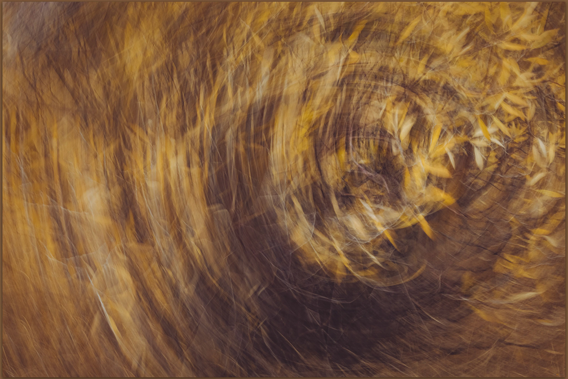 Is there an after? Hope Valley, Carson Range, USA