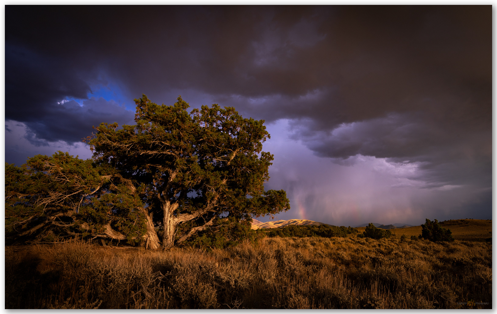 Self portrait. Consideration of the time, Heartstone Hills, Great Basin Desert, NV, USA