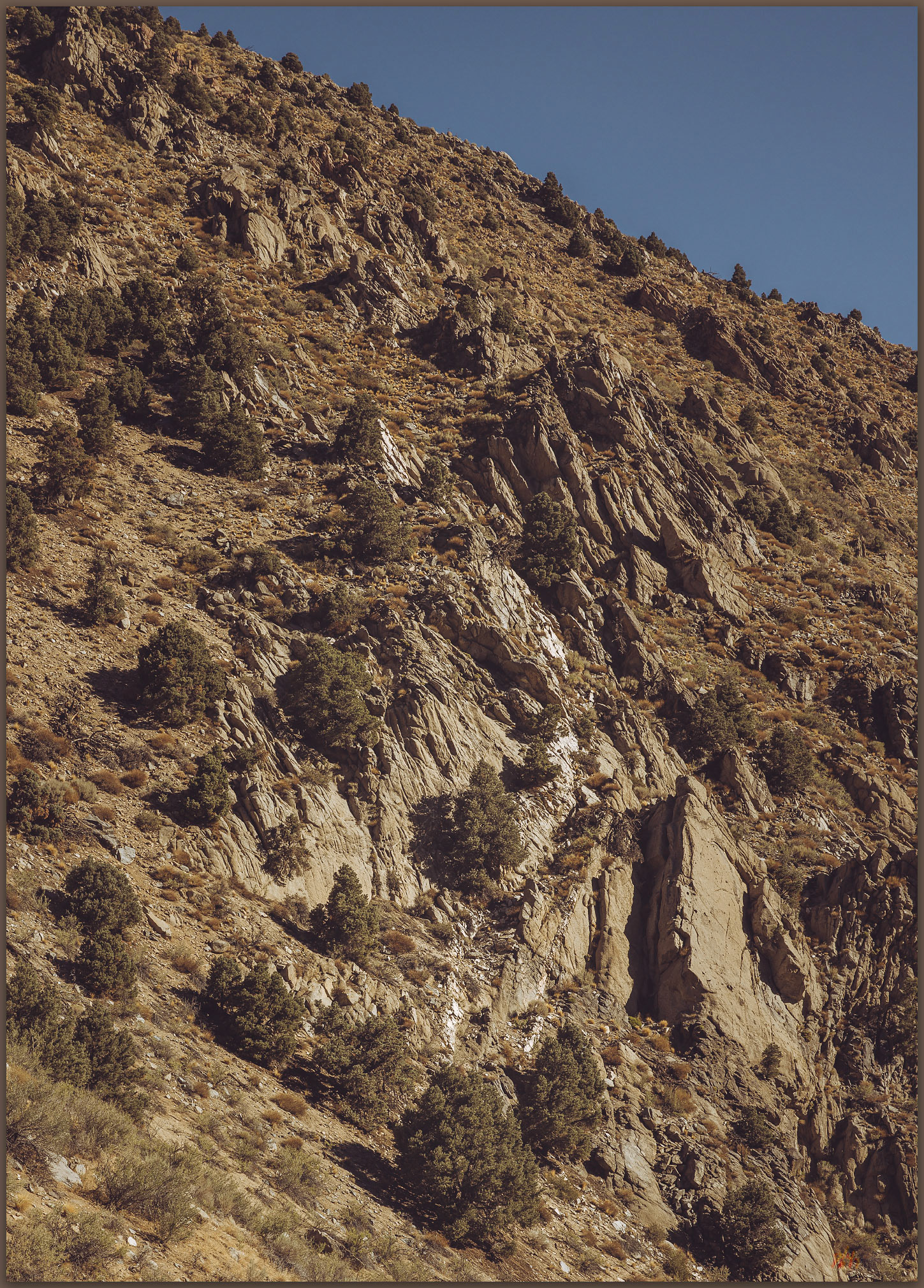 Quartz contact. Wedertz Canyon, Burbank Canyon WSA, Great Basin Desert, NV