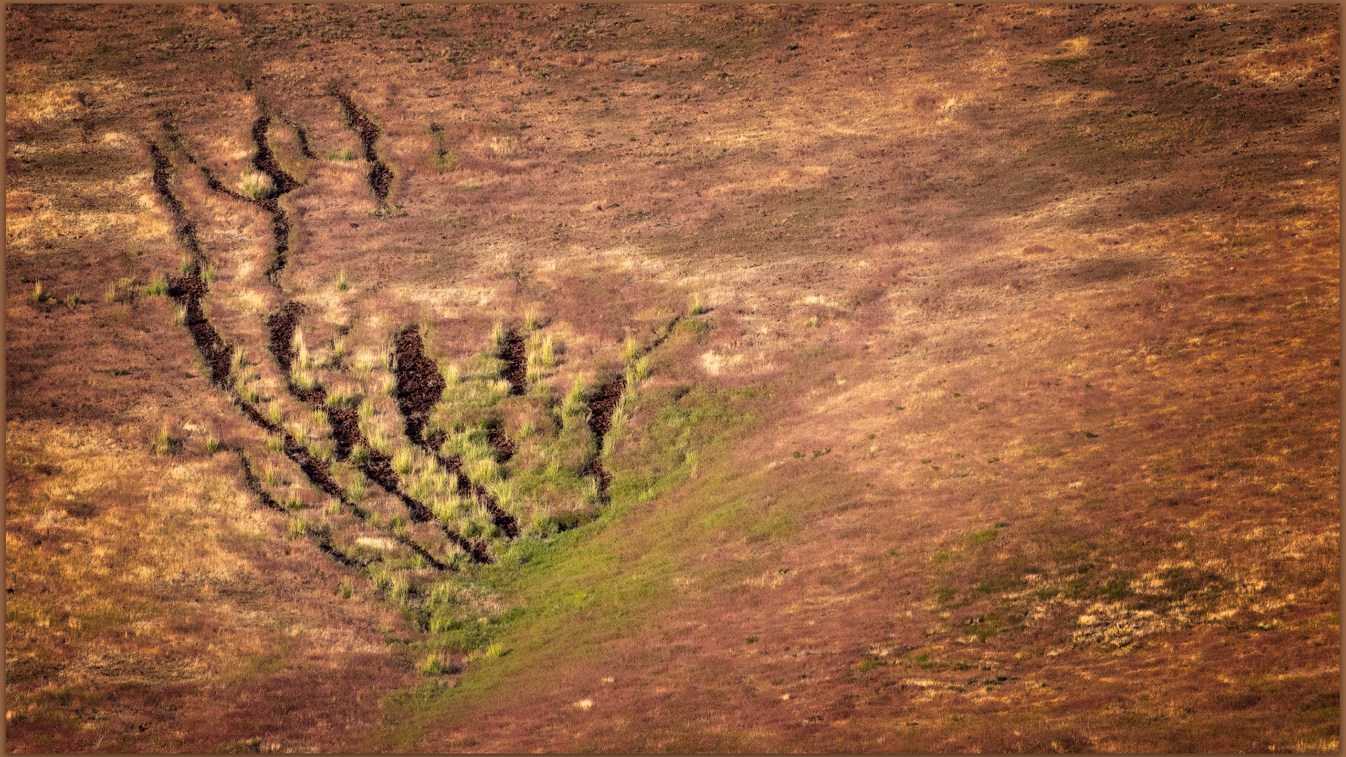 Scratched. Stones stripes at Crowley Creek, Great Basin Desert, NV, USA