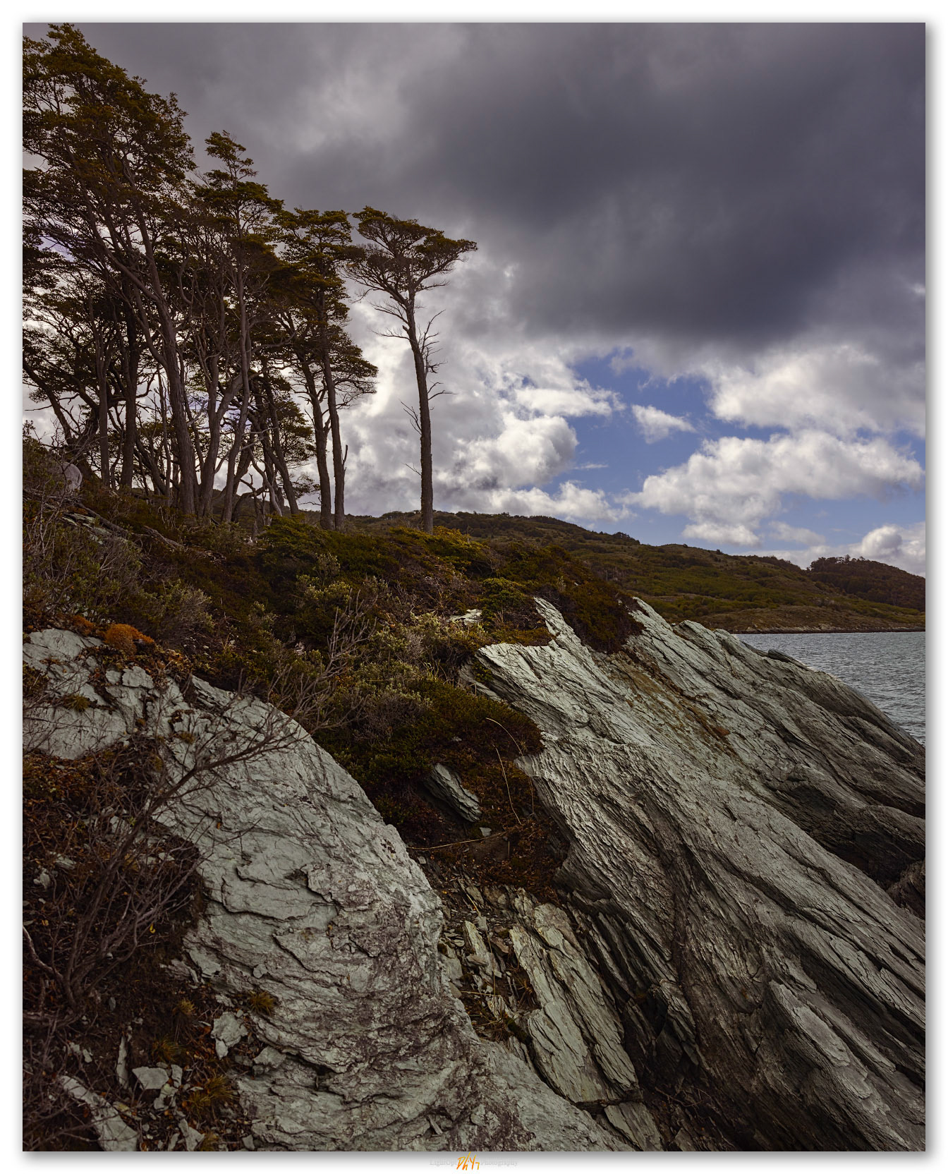 Leeward. Outcrops on the Beagle Channel, Tierra del Fuego National Park, Argentina.