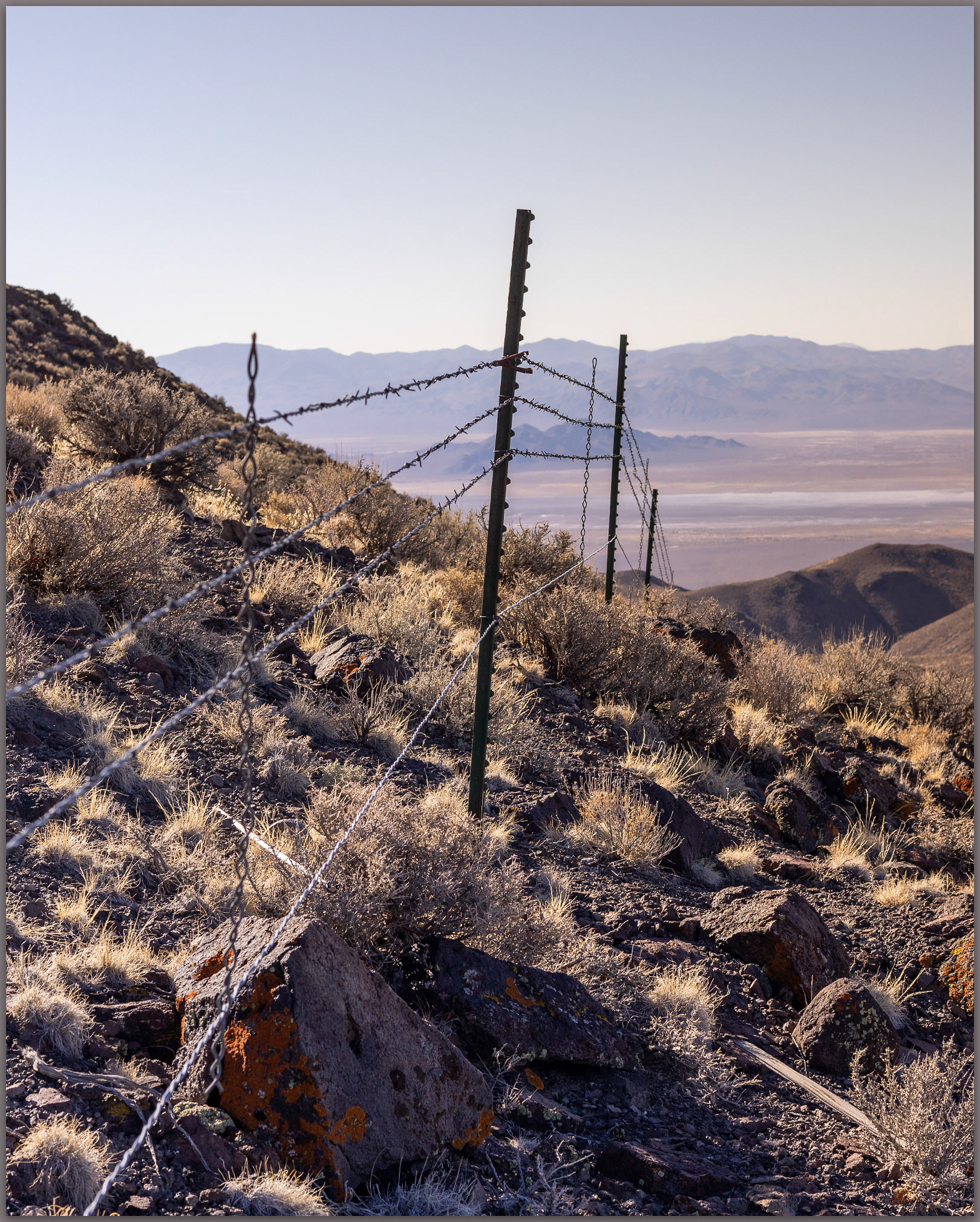 Strands. A drift fence in the altered wild of the Sinkavata Hills, Great Basin Desert, Nevada, USA