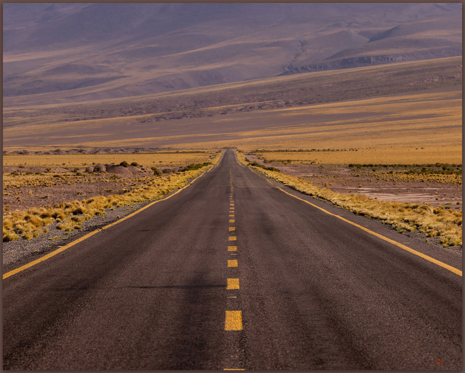 High road. Desert highway near Socaire at over 12,000 feet, Atacama Desert, Chile