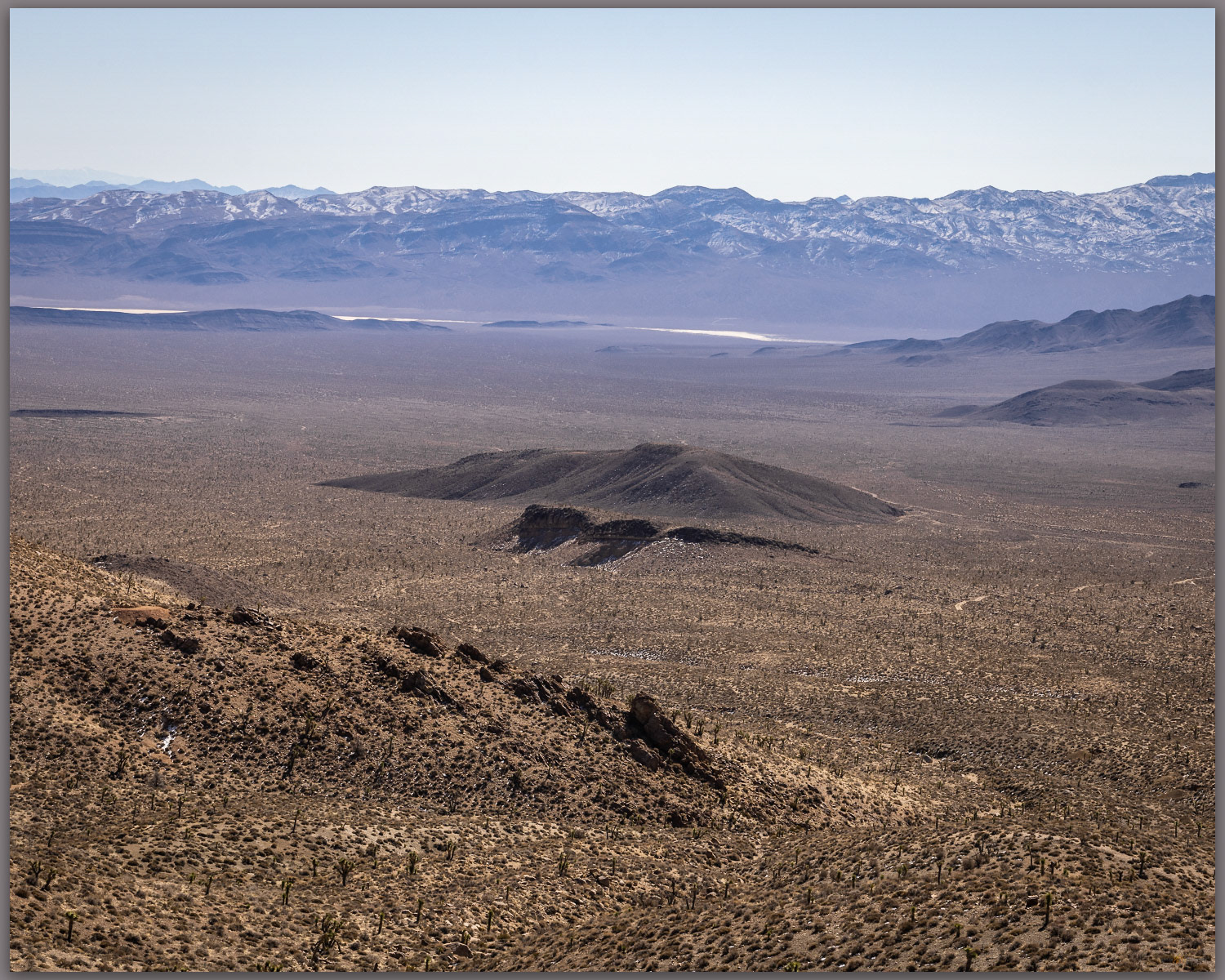 Bonnie Claire Flat. Southern slopes of Gold Mountain, Mojave Desert, NV, USA