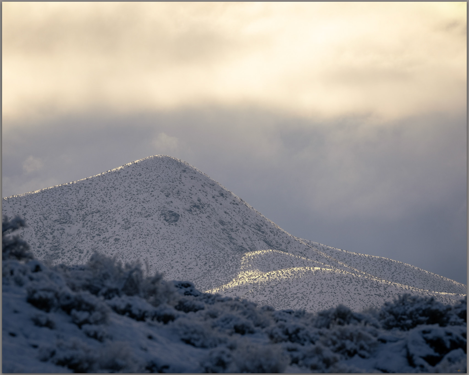 Early light. Sunrise in the foothills of the Stillwater Mountains, Great Basin Desert, NV, USA