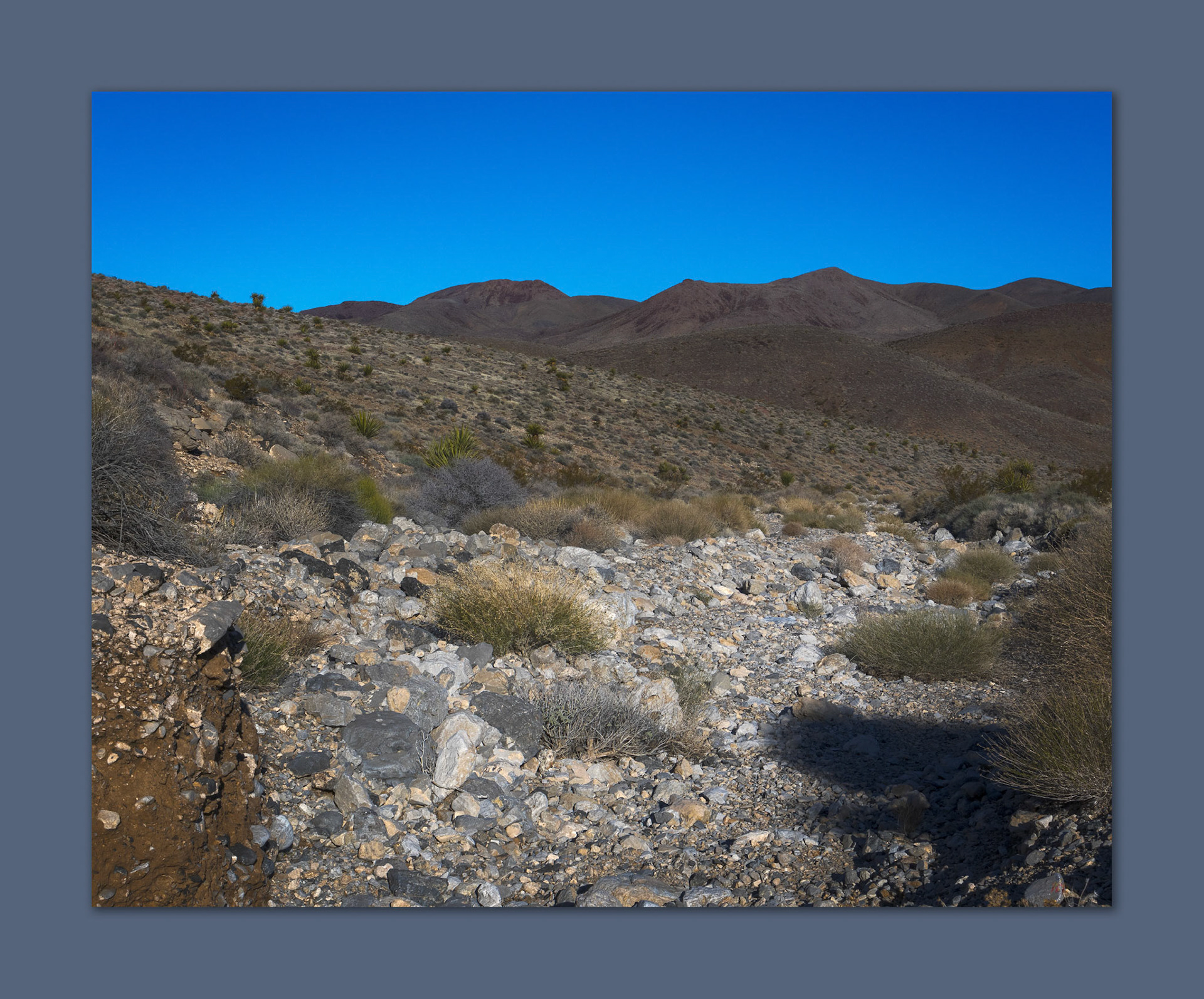 Rock wash. Proximal fan segment, northern Last Chance Range, Mojave Desert, NV, USA