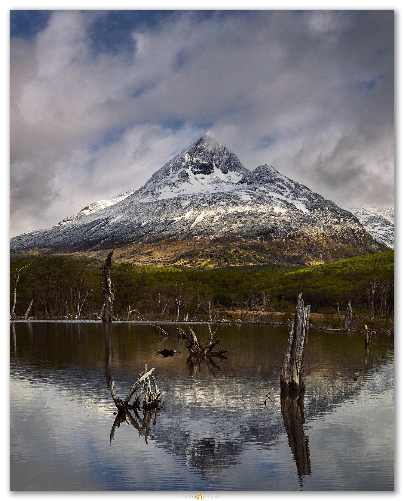Colored woodland. Peaks above beaver ponds on the Rio Olivia, Senda Esmeralda, Argentina.
