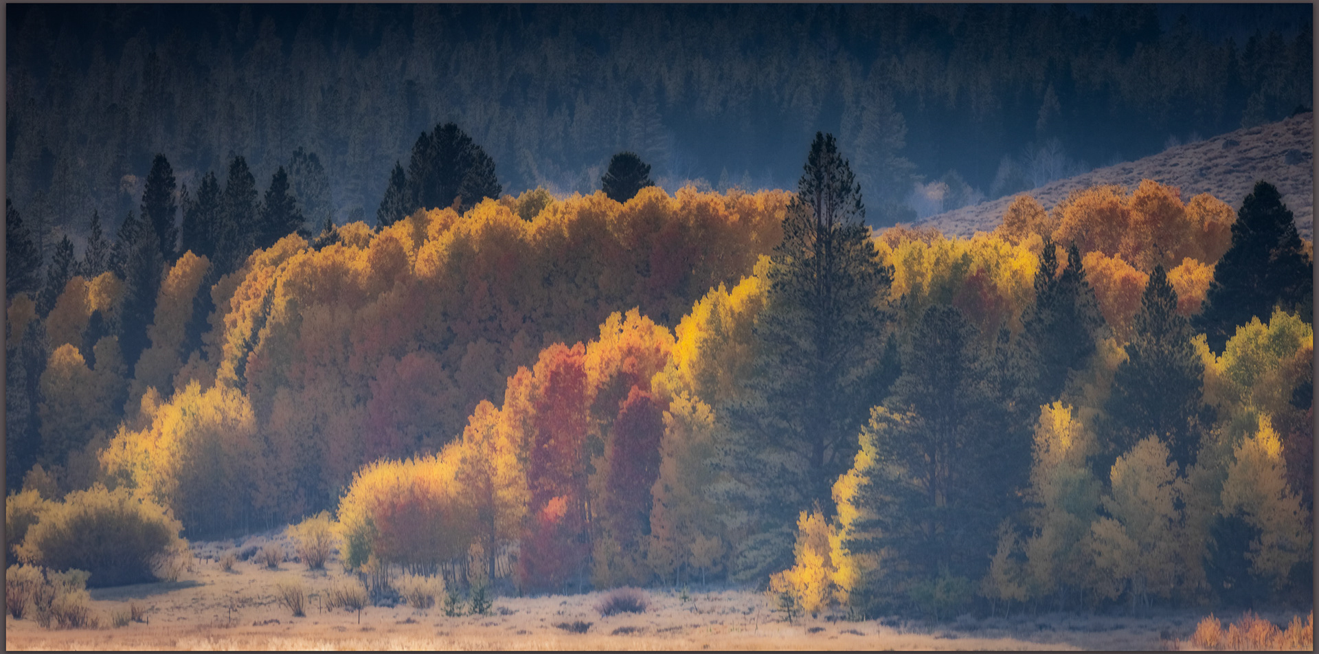 Fall spectrum. An altered perspective at Dunderberg Creek, Eastern Sierra, CA, USA