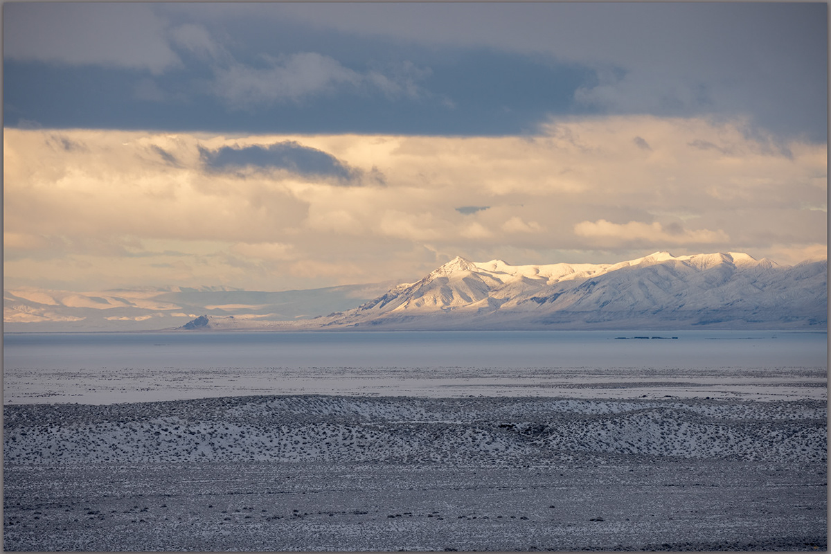 DCraig Young - Carson Sink I
