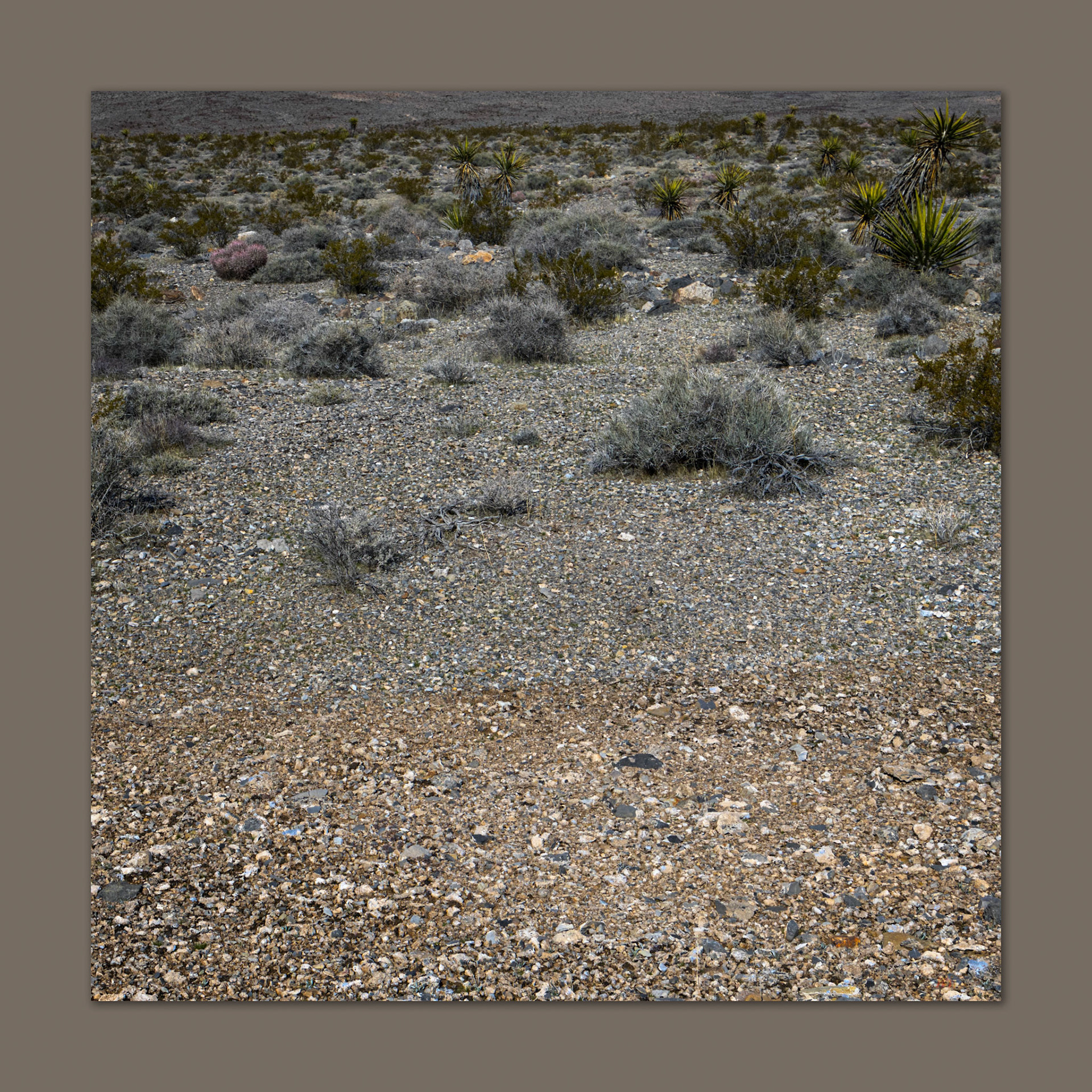 Temporal change. Variation in the alluvium on the fans below the Last Chance Range, Mojave Desert, NV, USA