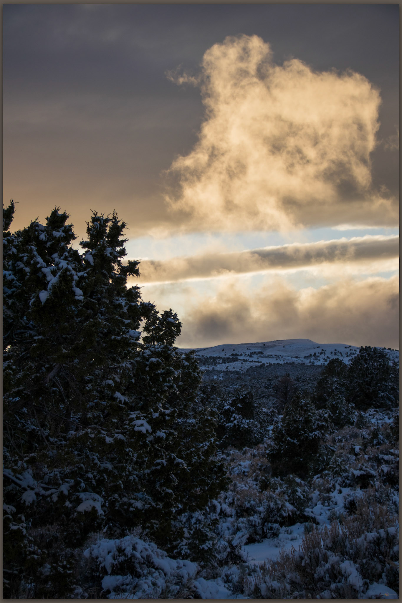 Cloud play. Toiyabe Range, Great Basin Desert, NV, USA