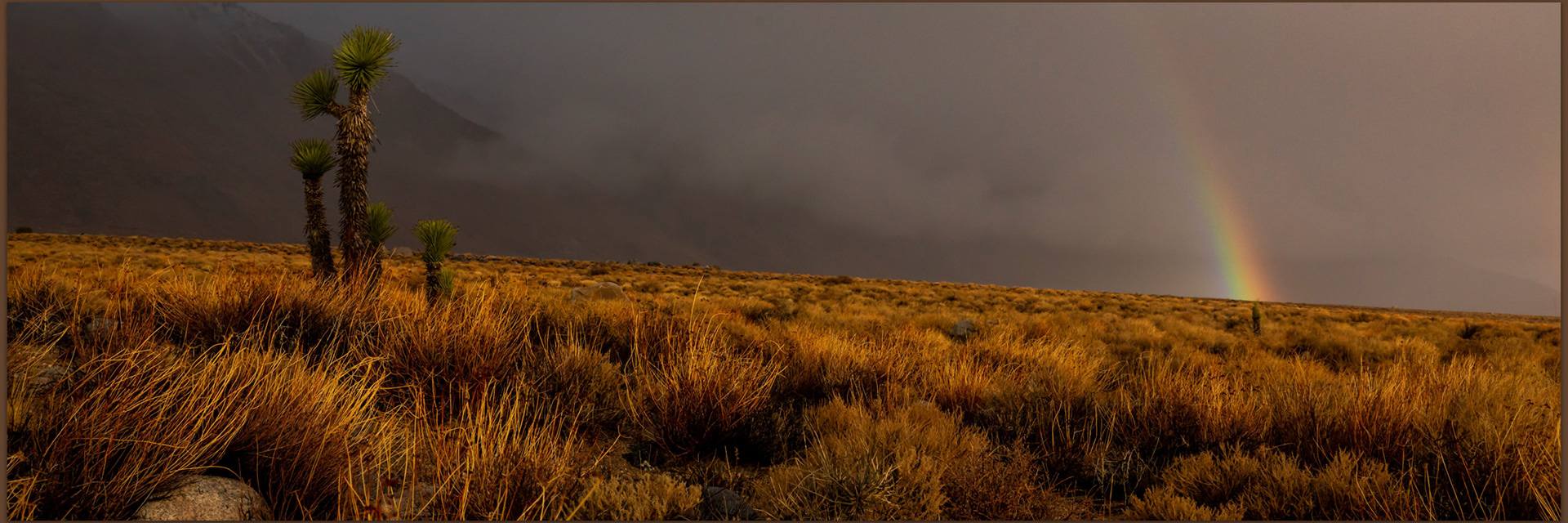 Morning rain II. Owens Valley, Eastern Sierra, CA, USA