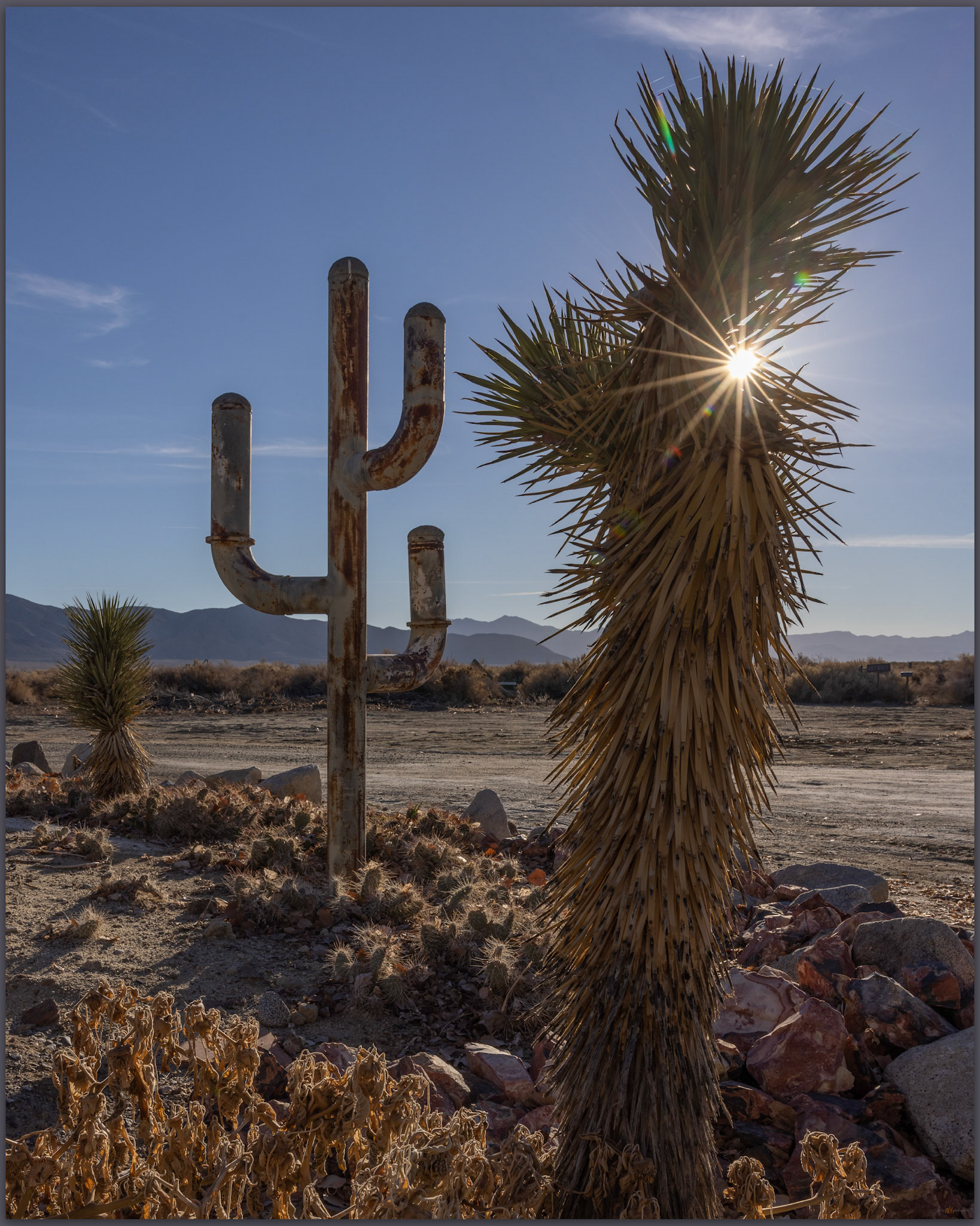 Greeters. Planet X Pottery, Smoke Creek Desert, NV, USA