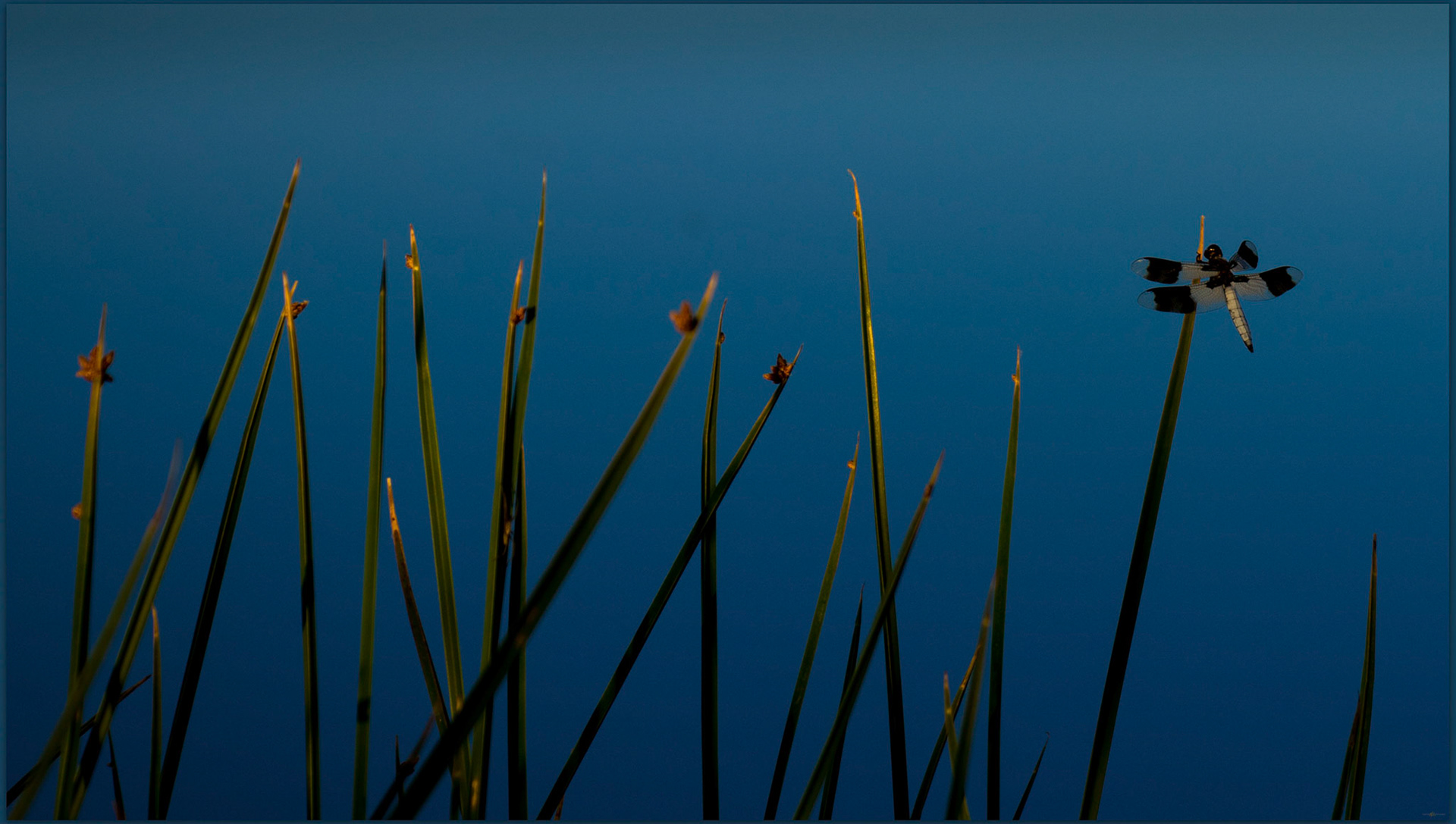 Evening dragon, Blue Lake, Great Salt Lake Desert, UT, USA