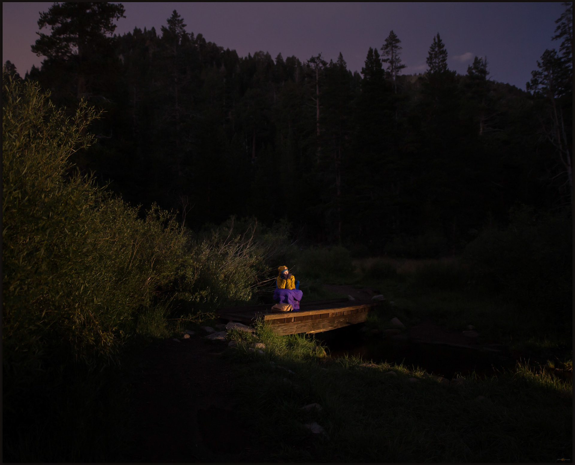 A patient wait,. Desna on the Big Meadow Creek bridge, Carson Range, CA, USA.