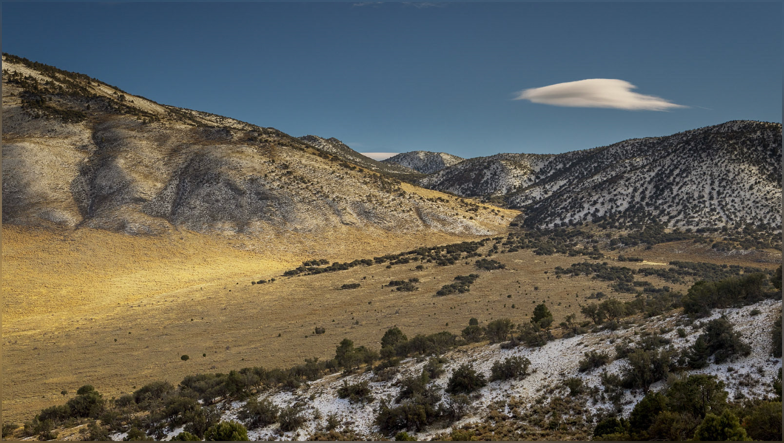 Intersections. The Spring Valley fault intersects the Reese Detachment fault, now buried by an alluvial fan in upper Spring Valley, Great Basin Desert, NV, USA