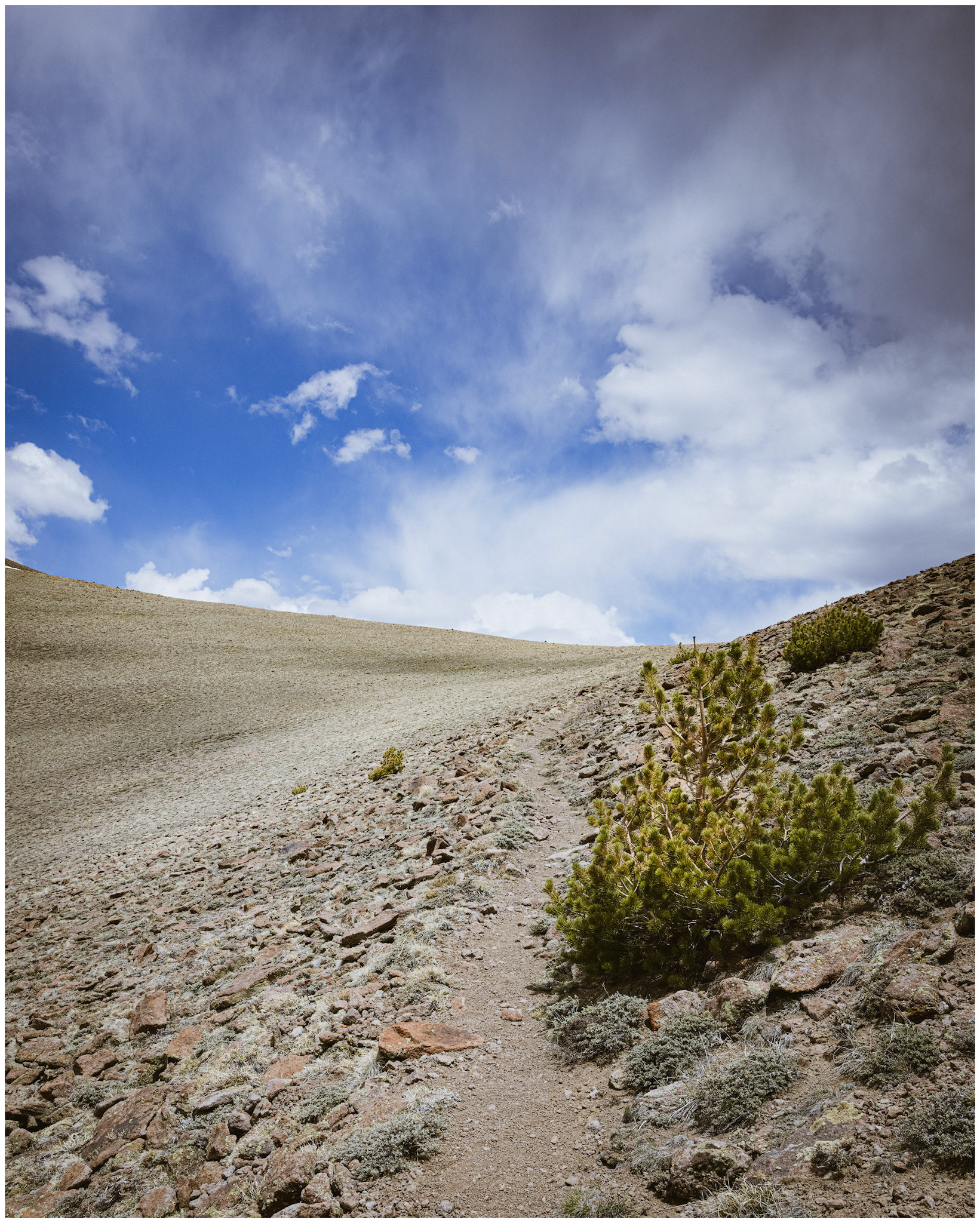 Our approach traversed about seven miles of the Toiyabe Crest Trail, Toiyabe Range, Nevada.