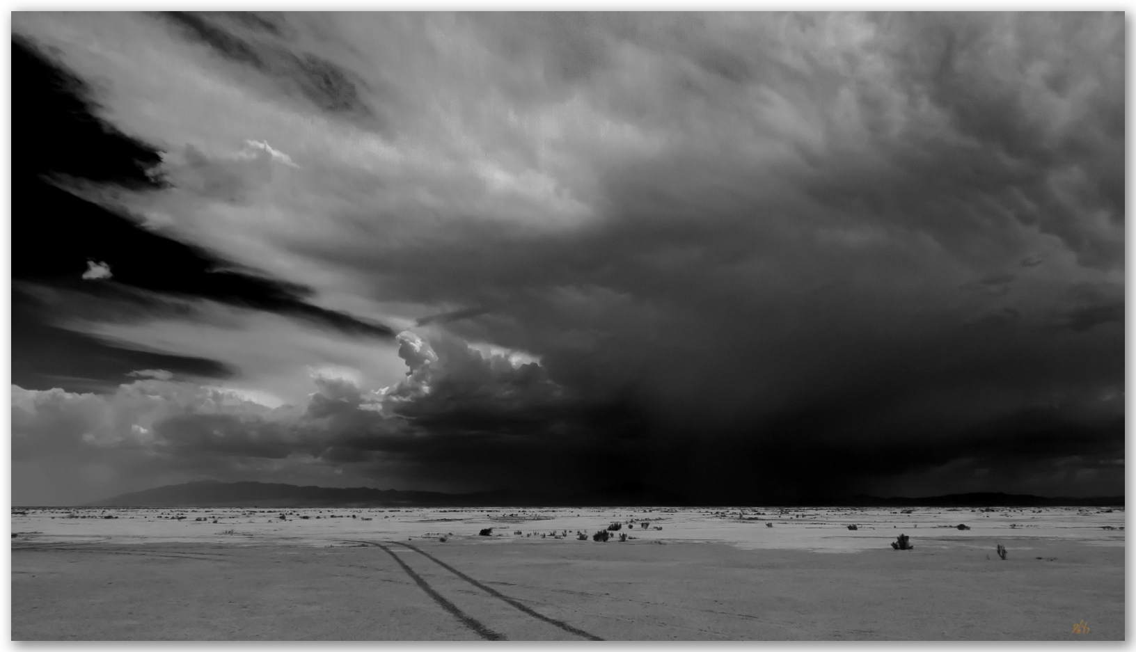 Storm rising. Monsoon moisture feeds a storm in the Western Desert, Great Salt Lake Desert, UT, USA