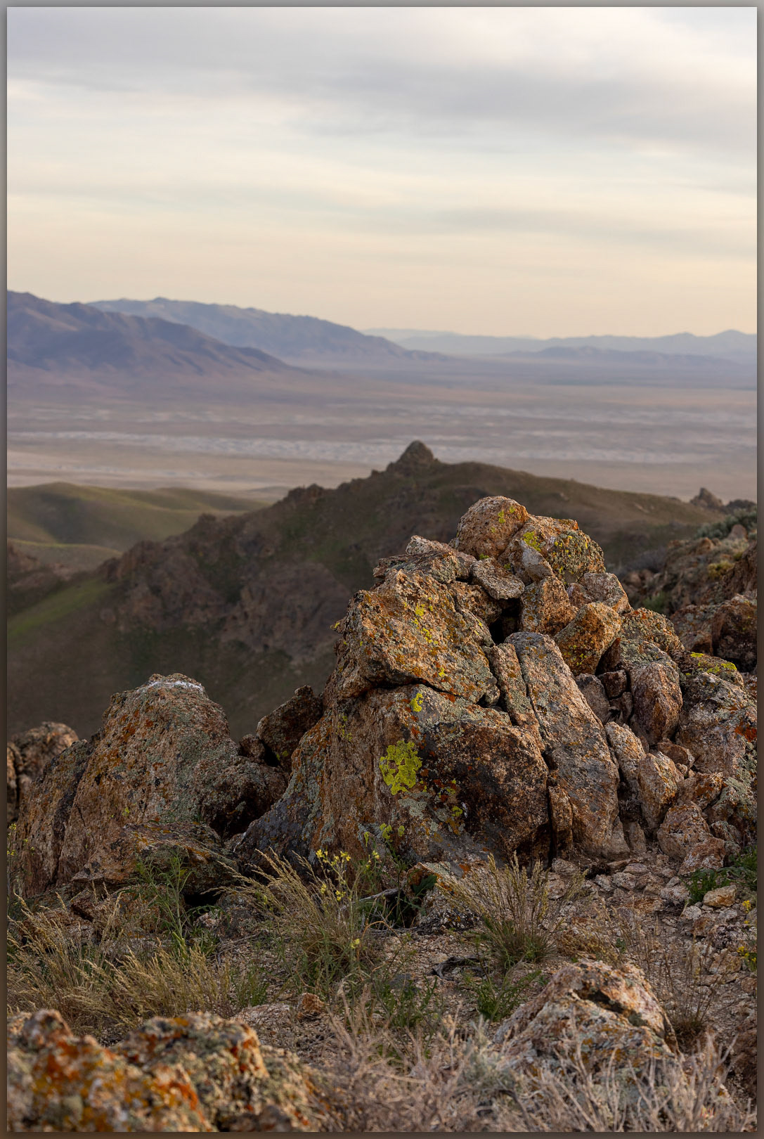 The high point of the Slumbering Hills, Great Basin Desert, NV