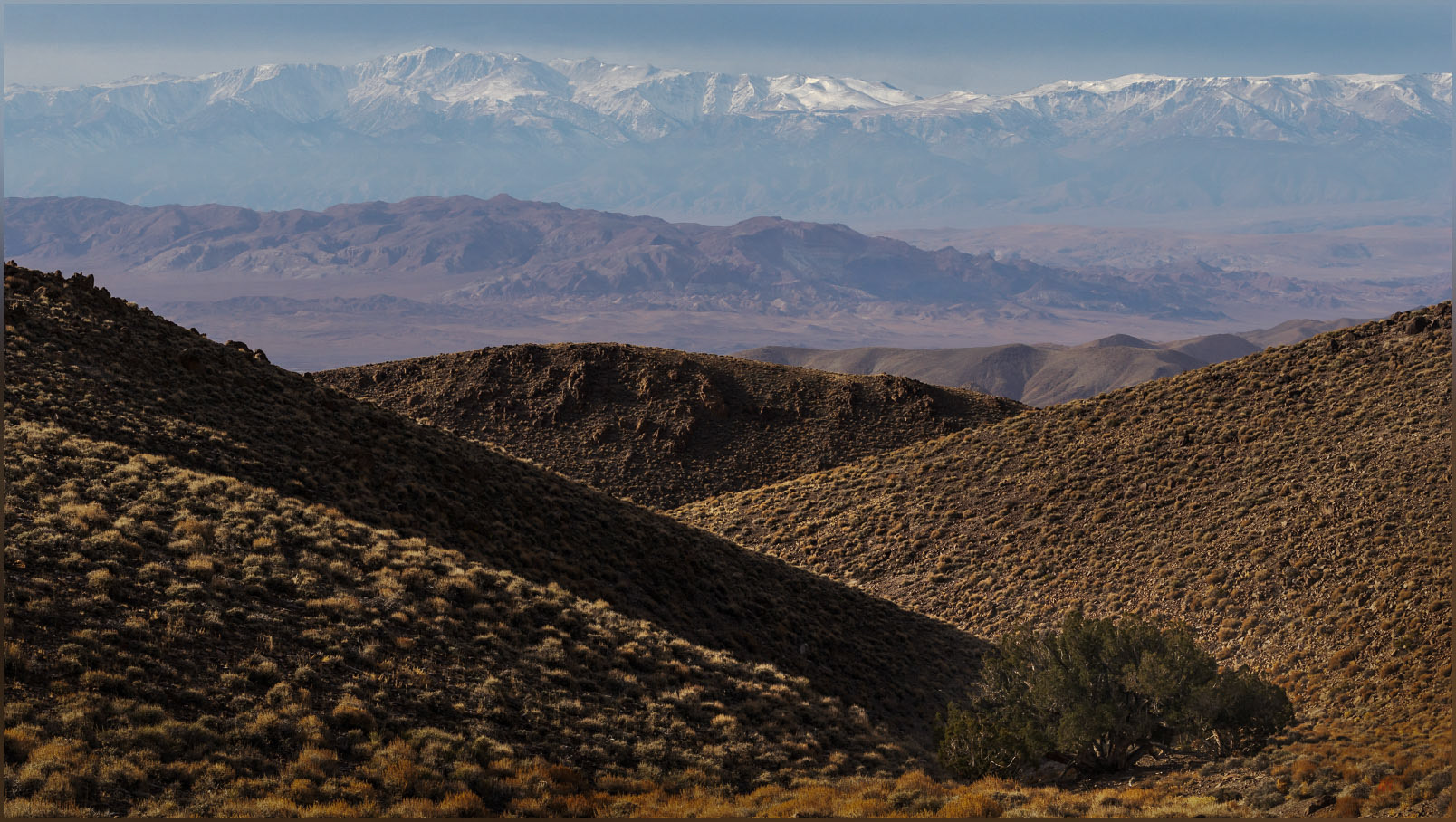 Looking west. The White Mountains of California rise beyond the Silver Peak Range west of the Monte Cristo Range, Great Basin Desert, NV, USA