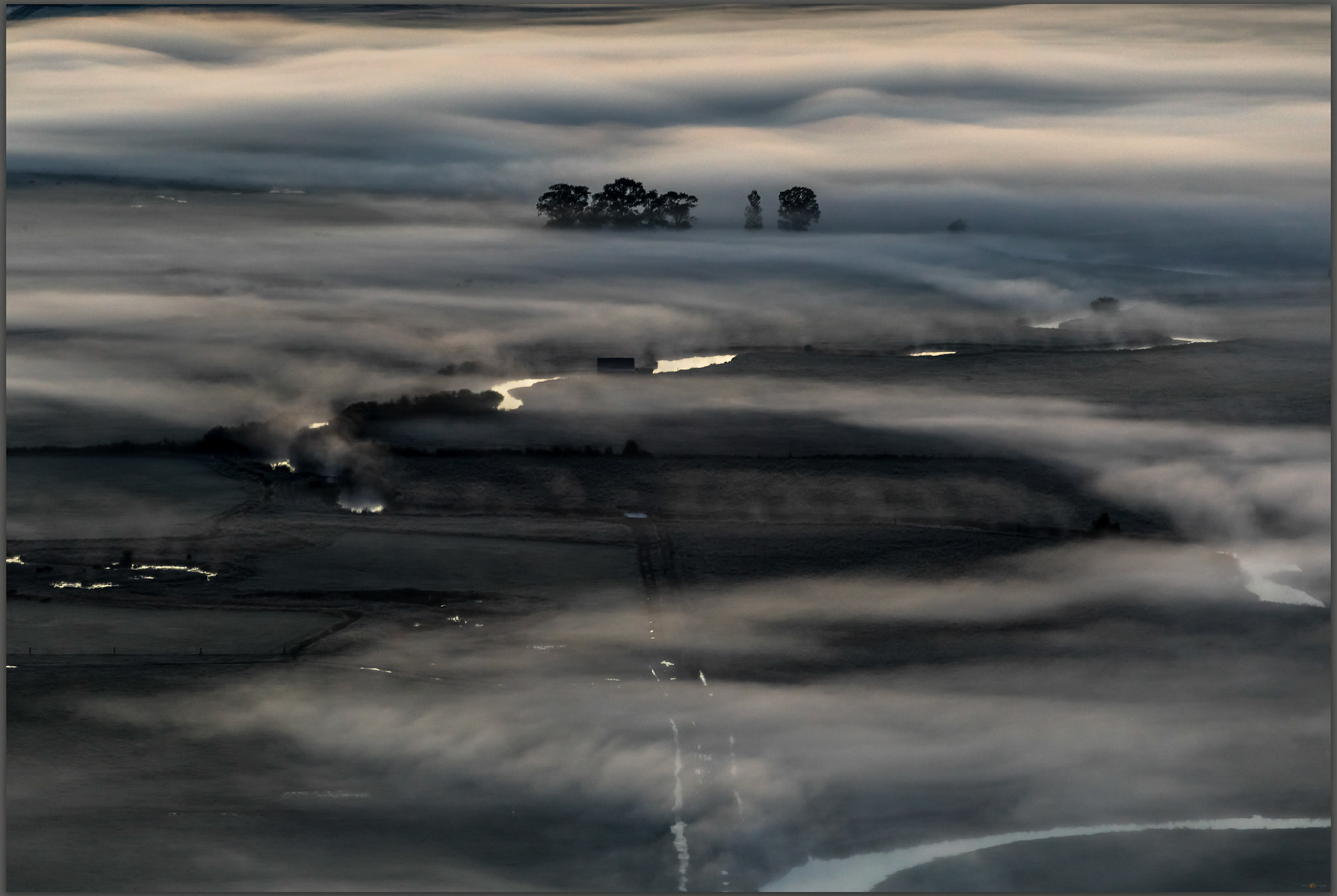 Ground cover. Morning fog along the Carson River, Carson Valley, NV, USA