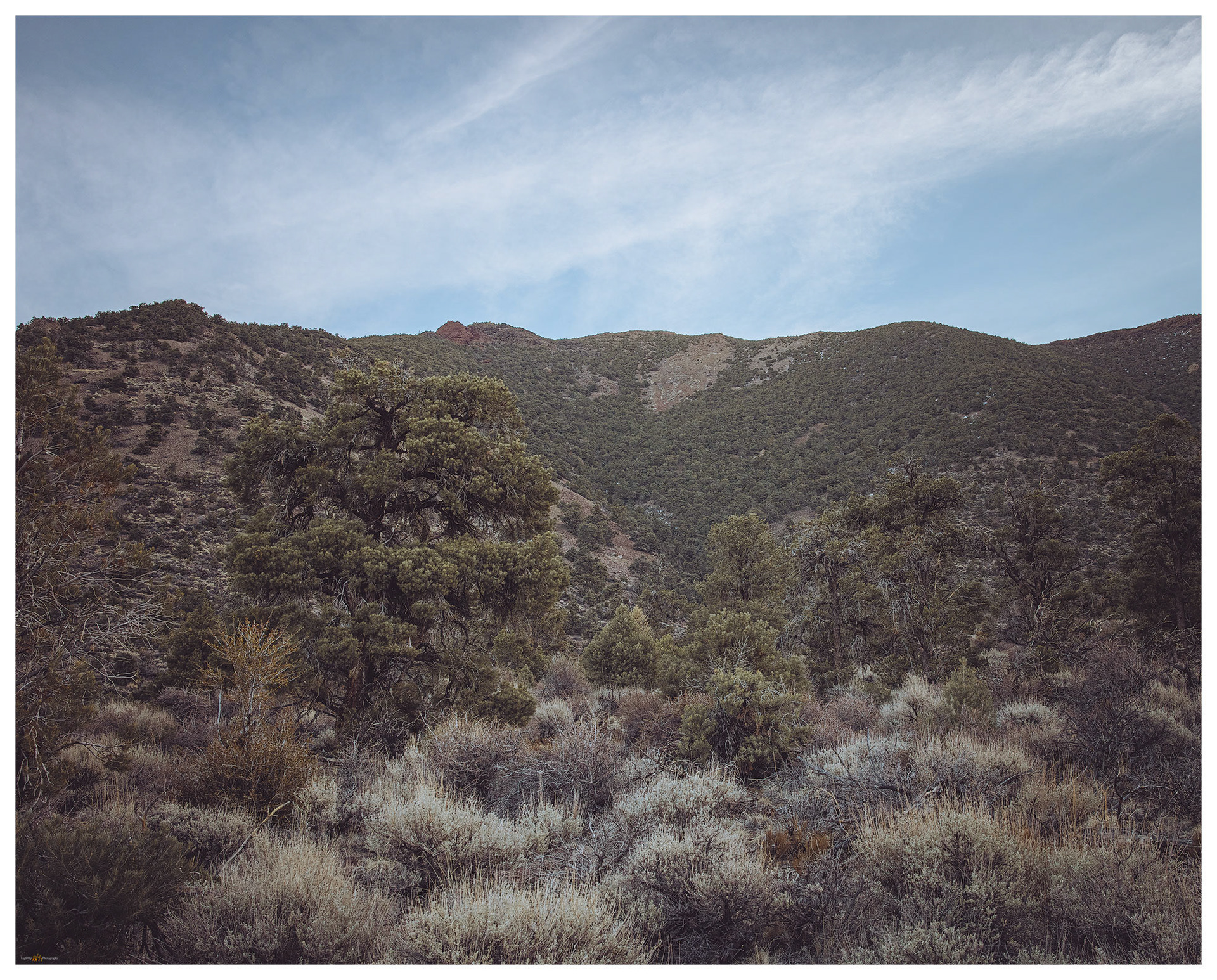 We hiked the right-hand, pinyon-covered ridge to approach the summit from the south.