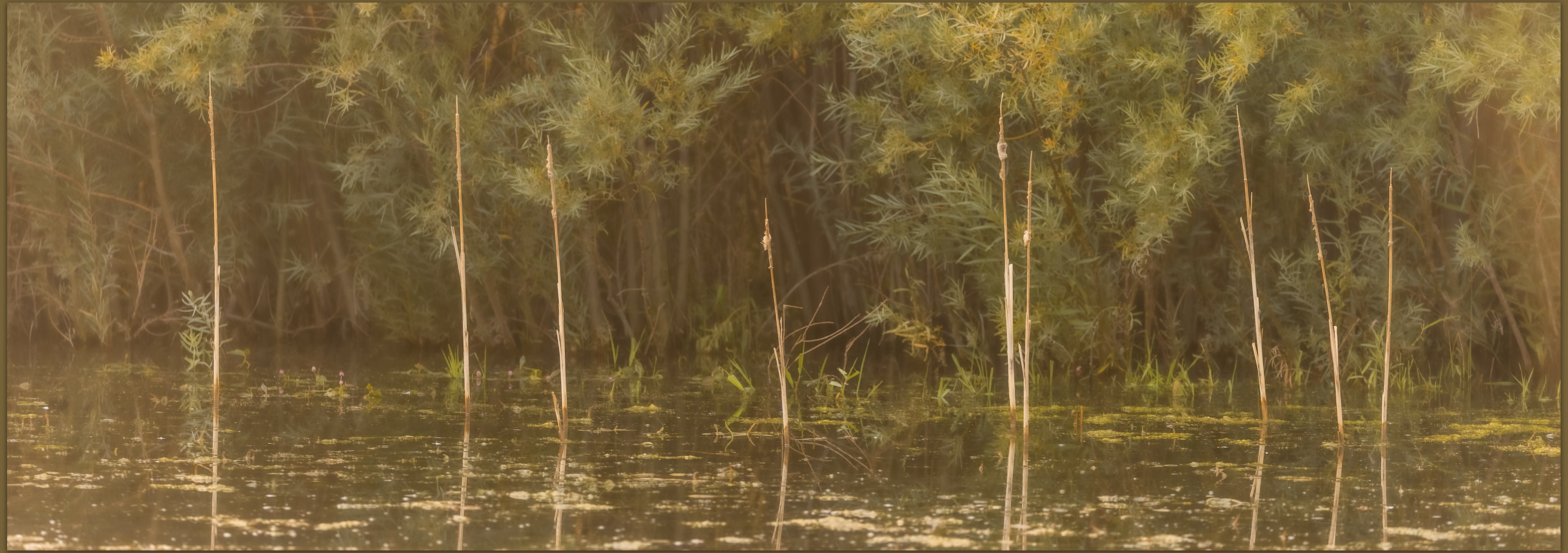 Seasons end. Summer closes on the Carson River, Carson Valley, Great Basin Desert, NV, USA