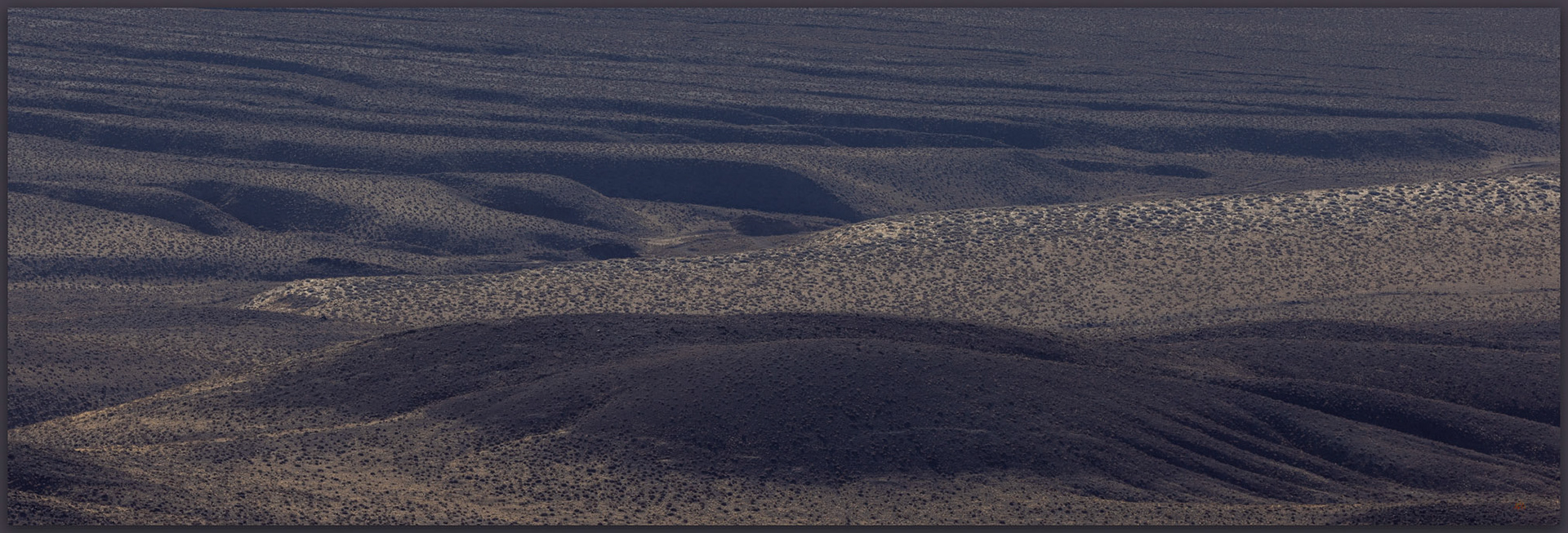 A bajada. Coalesced alluvial fans of the western front of the Monte Cristo Mountains, Great Basin Desert, Nevada, USA
