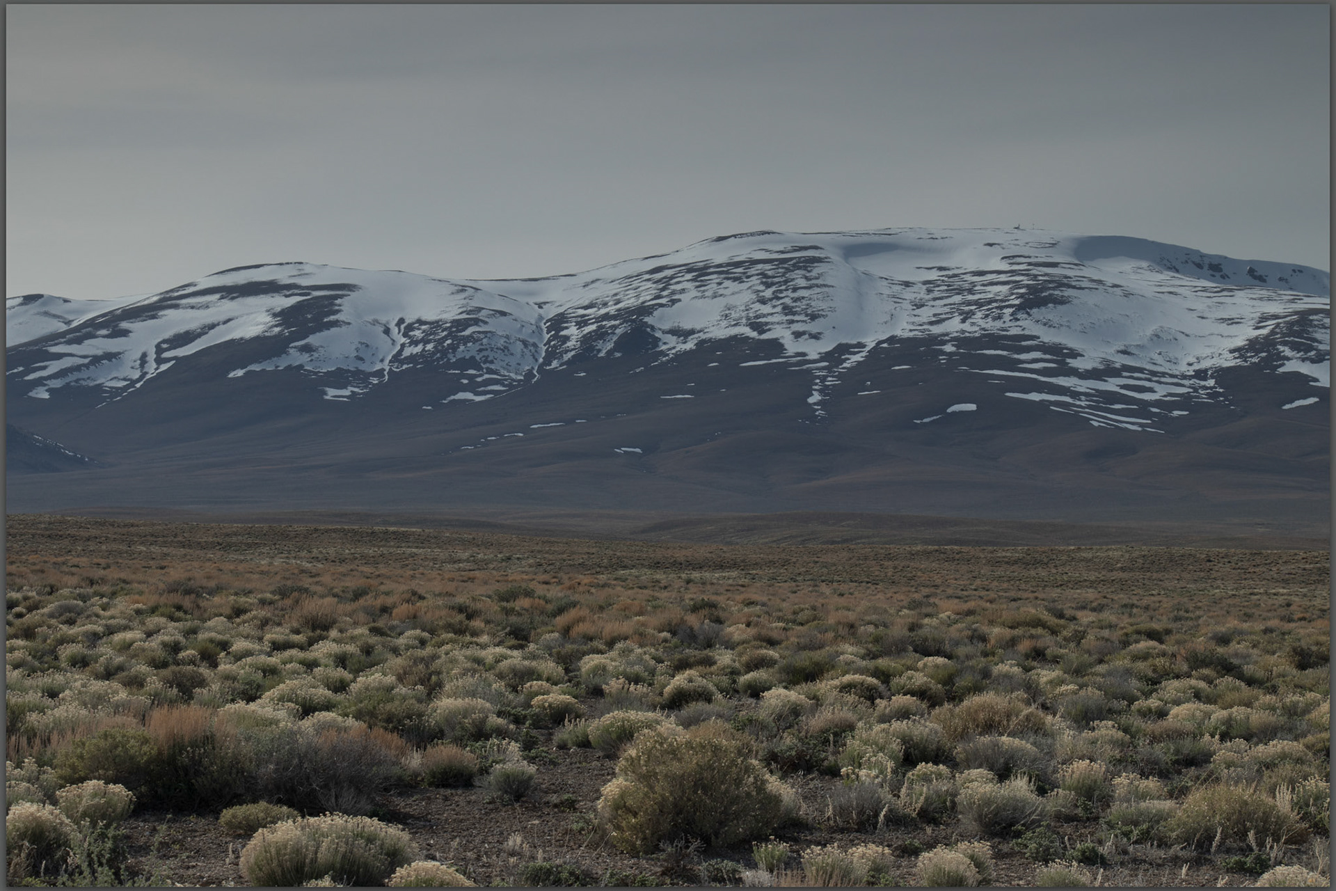 Callaghan gold. Mount Callaghan, north Toiyabe Range, Great Basin Desert, NV, USA
