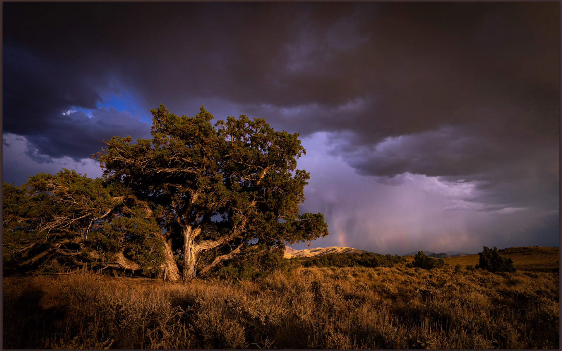 Self portrait. Consideration of the time, Heartstone Hills, Great Basin Desert, NV, USA