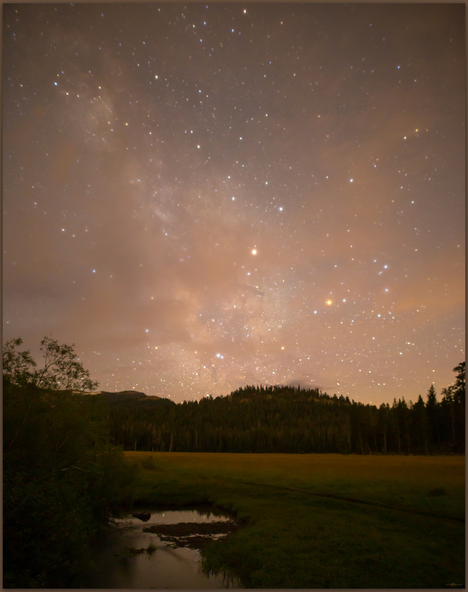 Our promise. Big Meadow, Carson Range, CA, USA