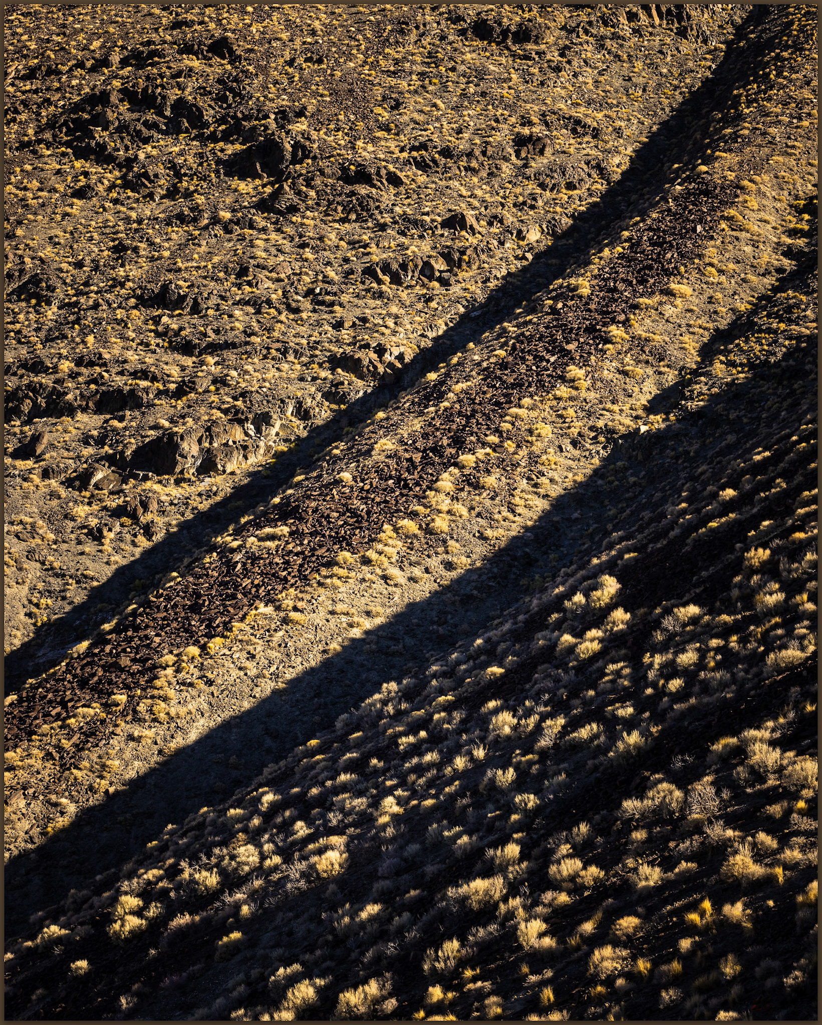 Armored talus. Black Mountain, Bluewing Mountains, Great Basin Desert, NV