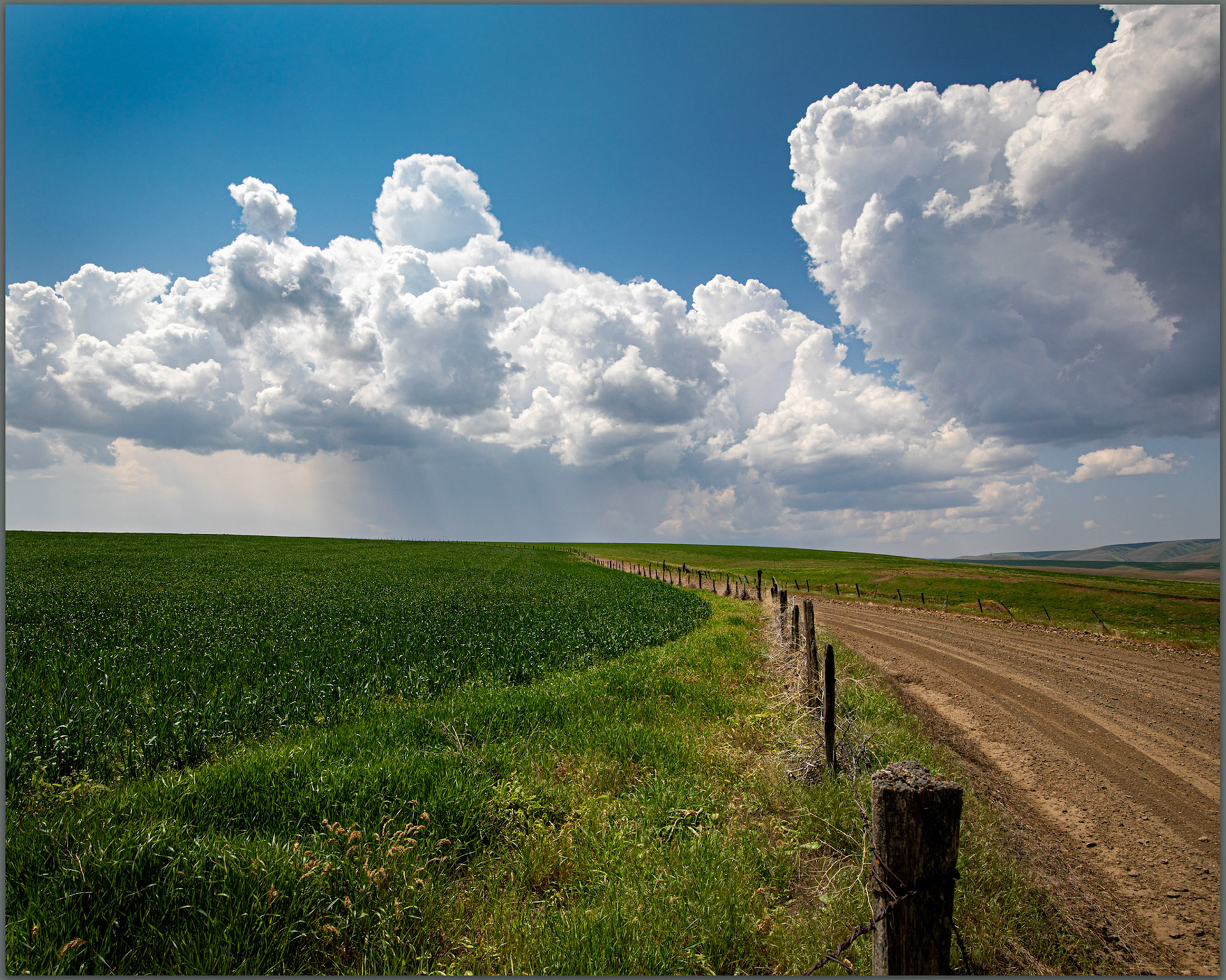 Chasing squalls. Random roads in the highlands south of the Snake River, Palouse, WA, USA