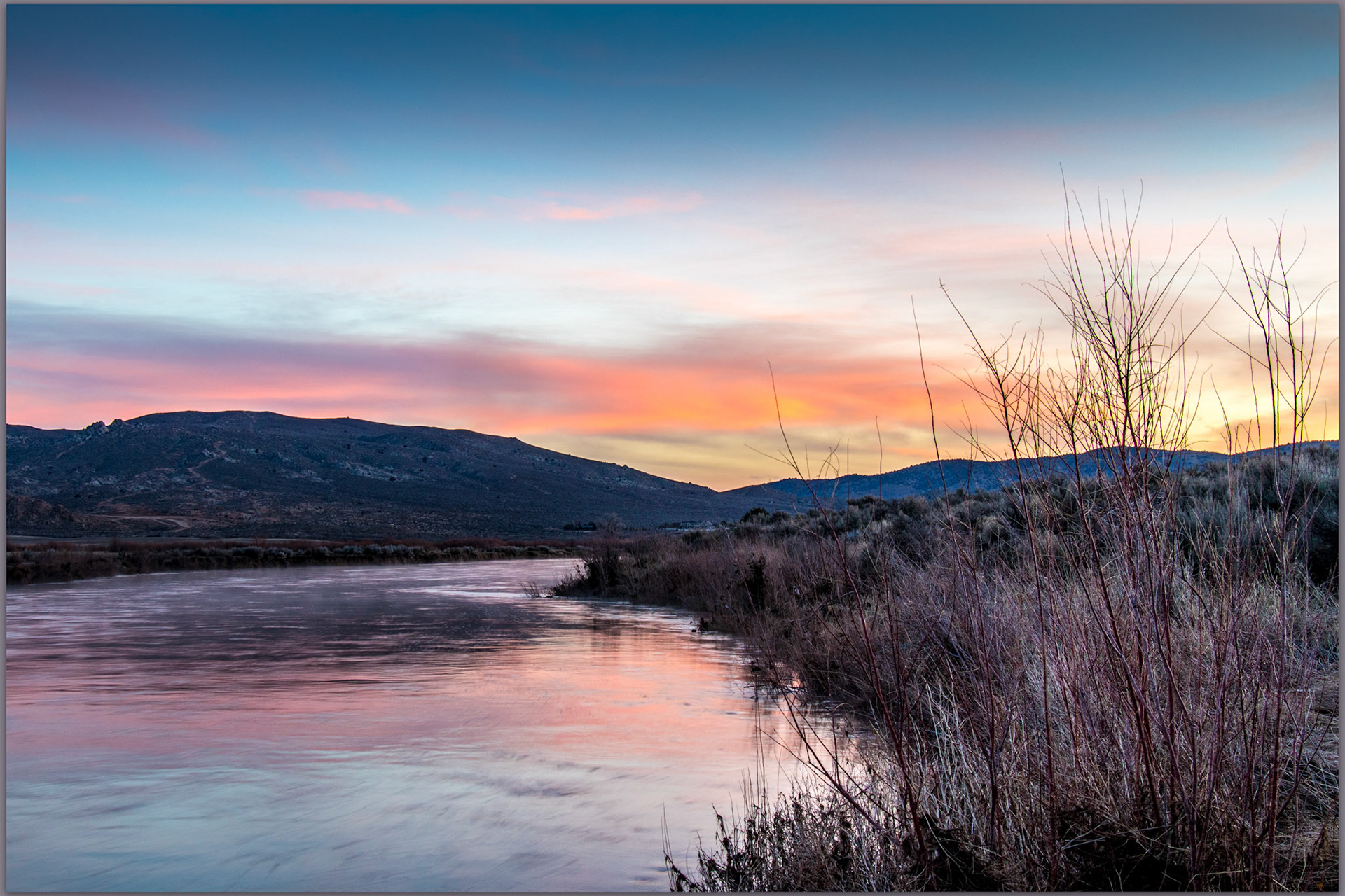 Waiting for spring. Salix stems along the Carson River, as we watch for the warmth of sunrise, Carson Valley, Great Basin Desert, NV, USA