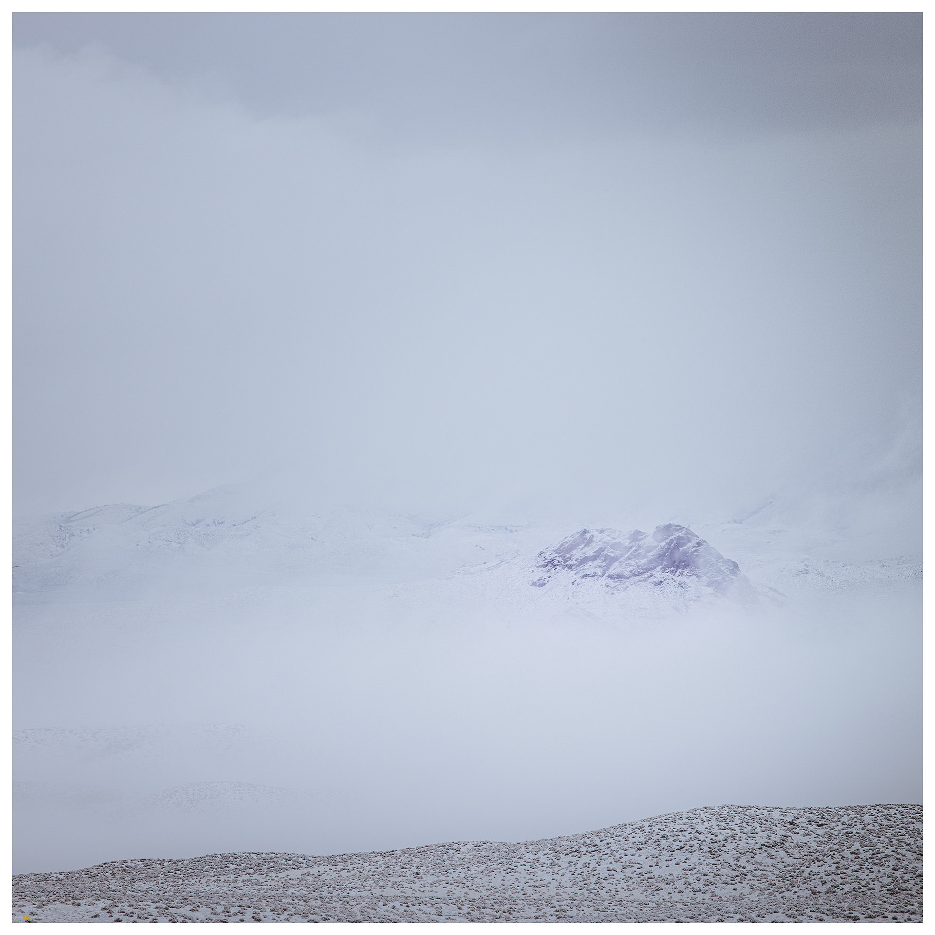 North into the fog