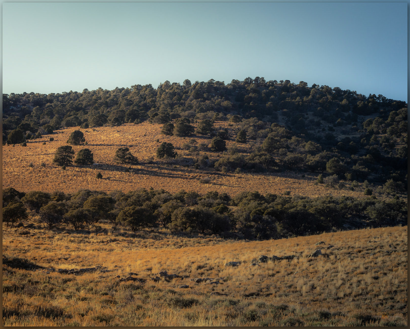 Gentle summit. It is an easy gradient toward the high point of the Mountain Boy Range, Great Basin Desert, NV, USA