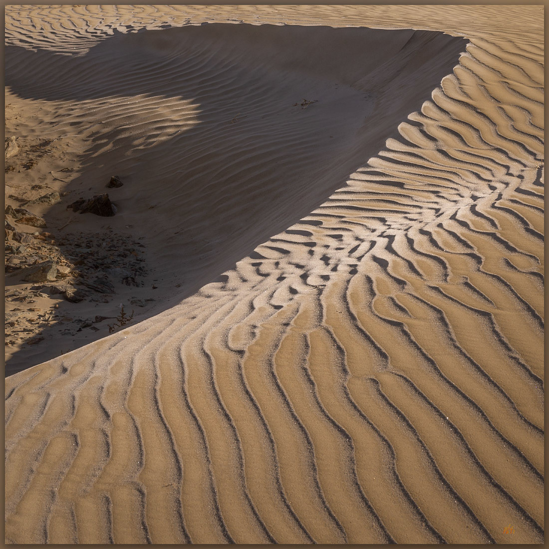 Slip face. Active dune overtakes its parent, Paymaster Ridge, Great Basin Desert, NV